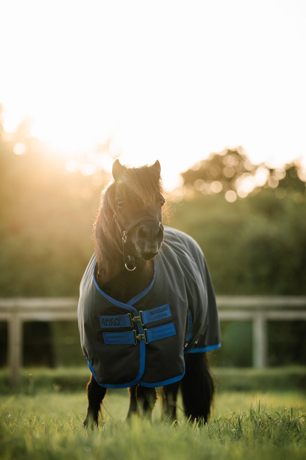 Horseware Amigo Ripstop 900D Petite Turnout, 0 g Horse Rugs