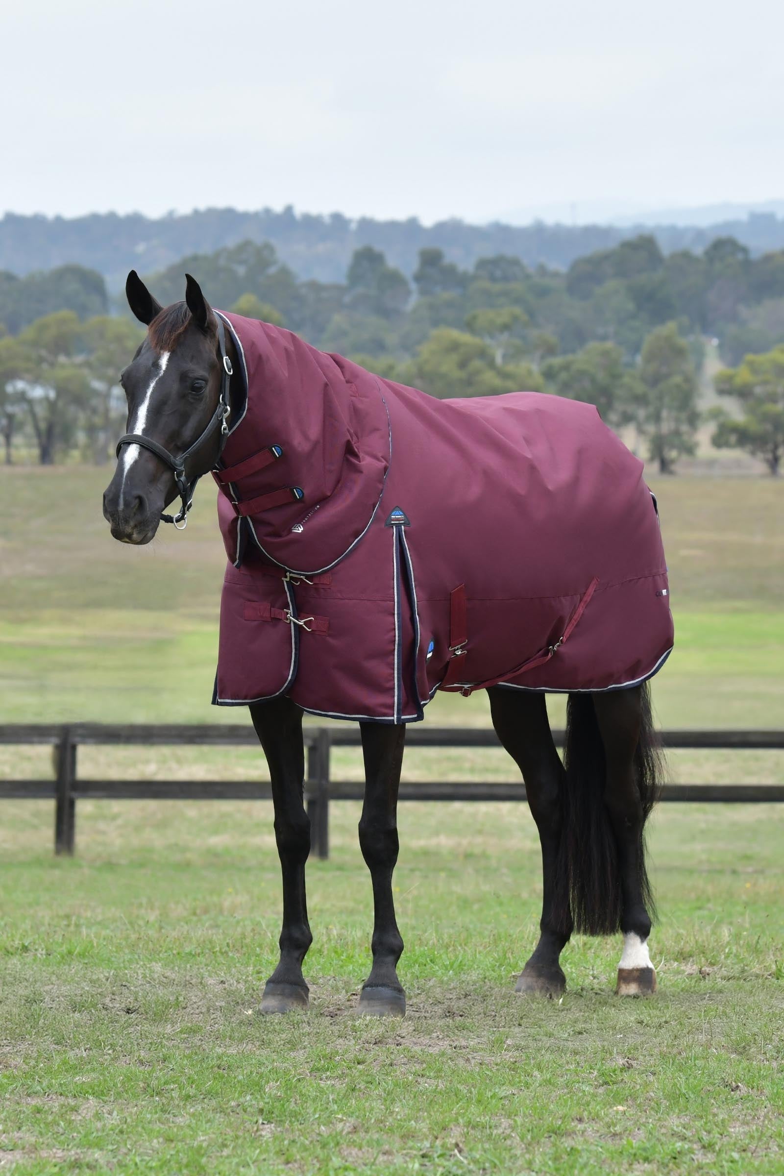 Weatherbeeta Comfitec Essential Turnout Detach-a-Neck, 50 g Horse Rugs