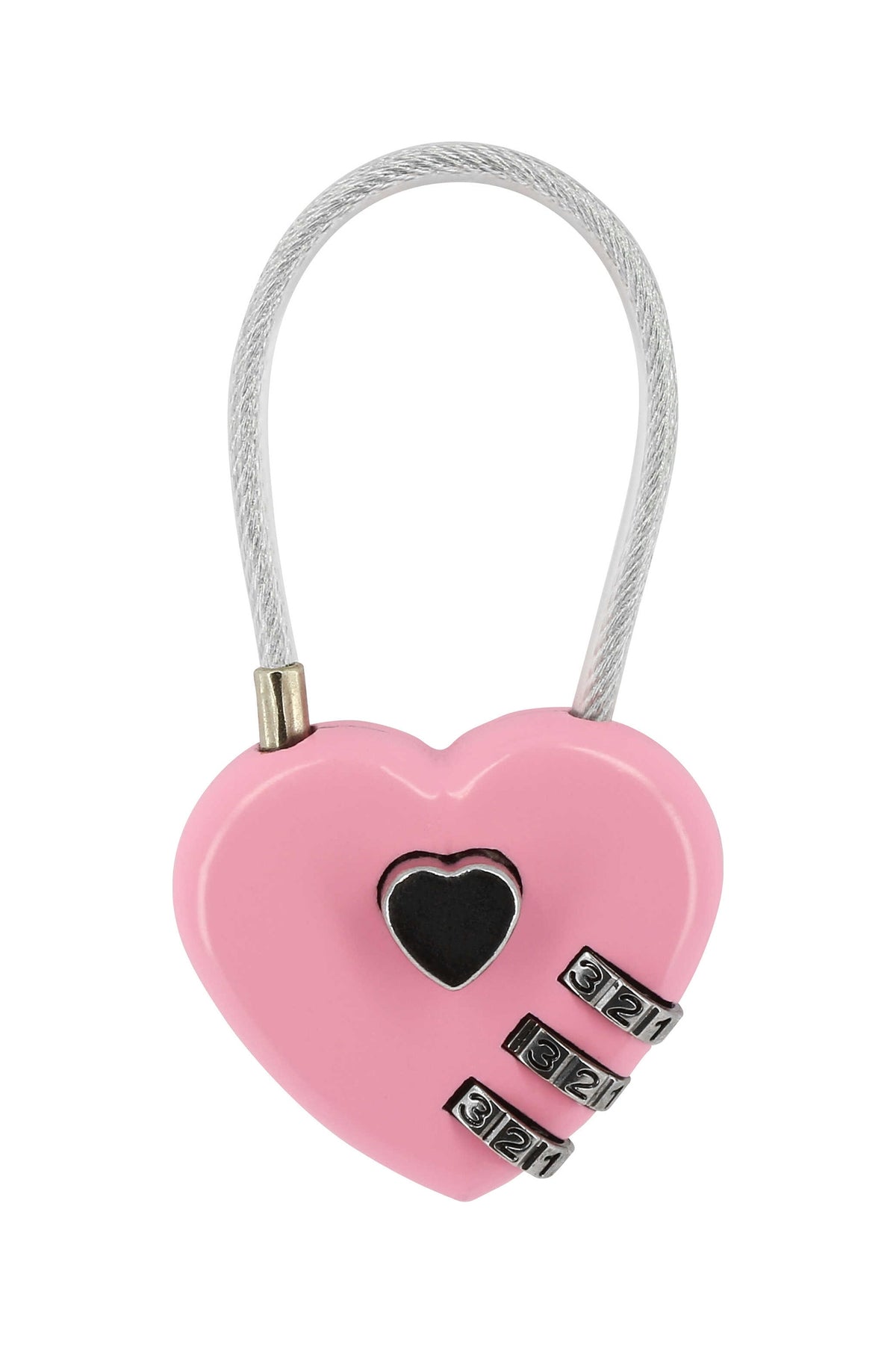 HIPPOTONIC HEART Padlock For Grooming Box Horse Grooming Tools