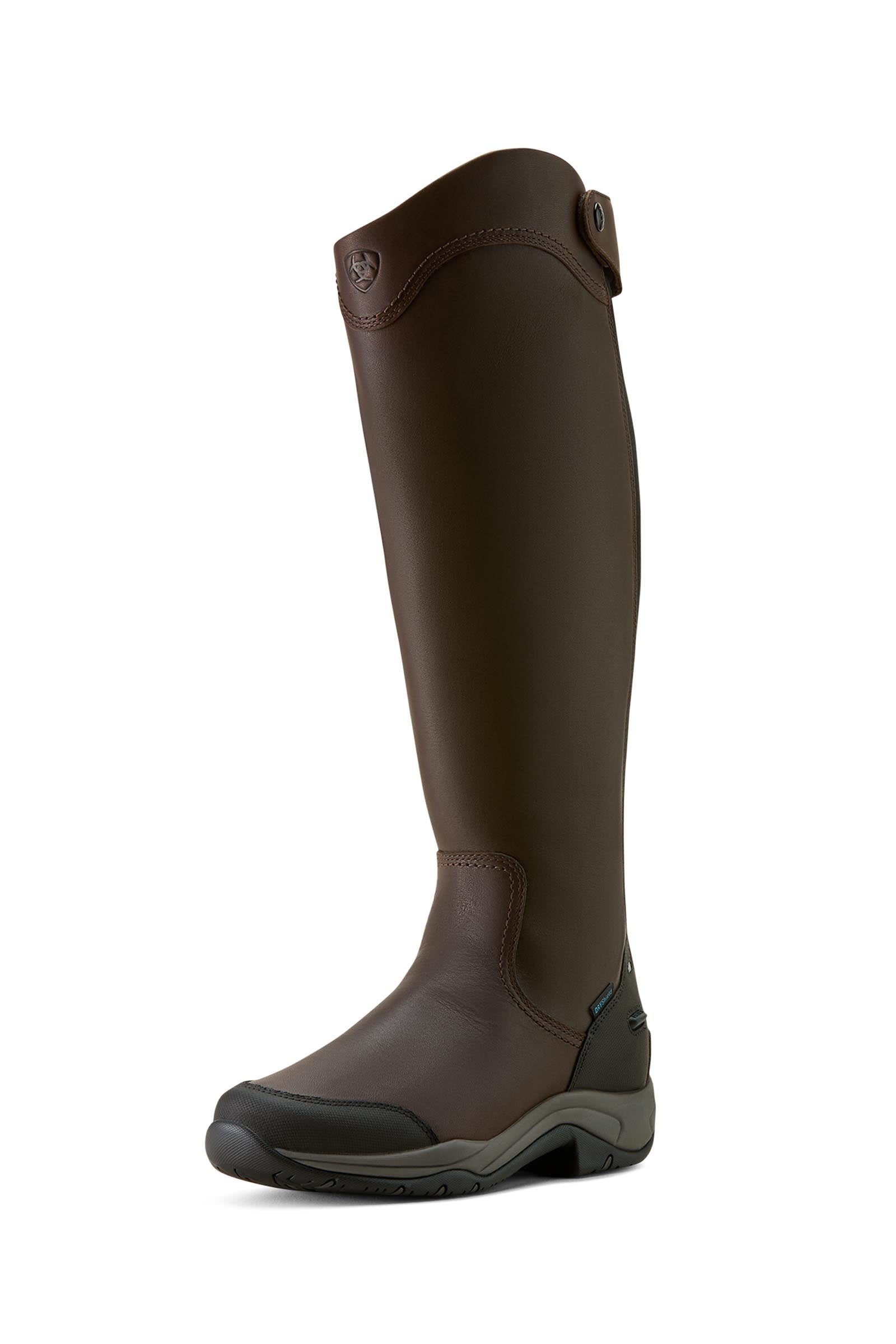 Ariat Telluride H2O høje dameboots Støvler & Leggings