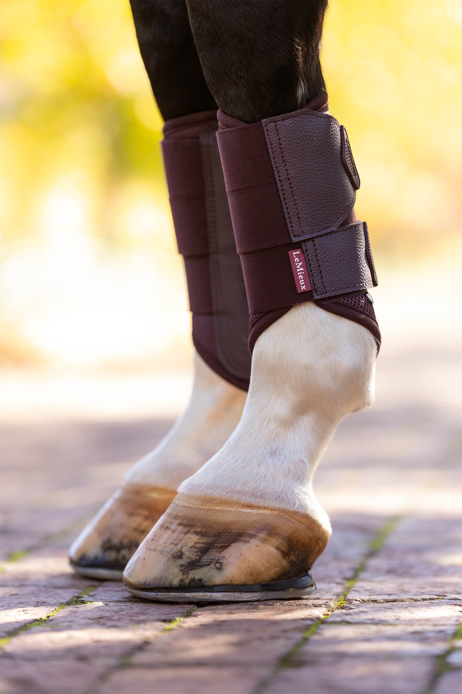 LeMieux Arika Mesh Brushing Boots Leg Protection & Hoof Protection for Horses