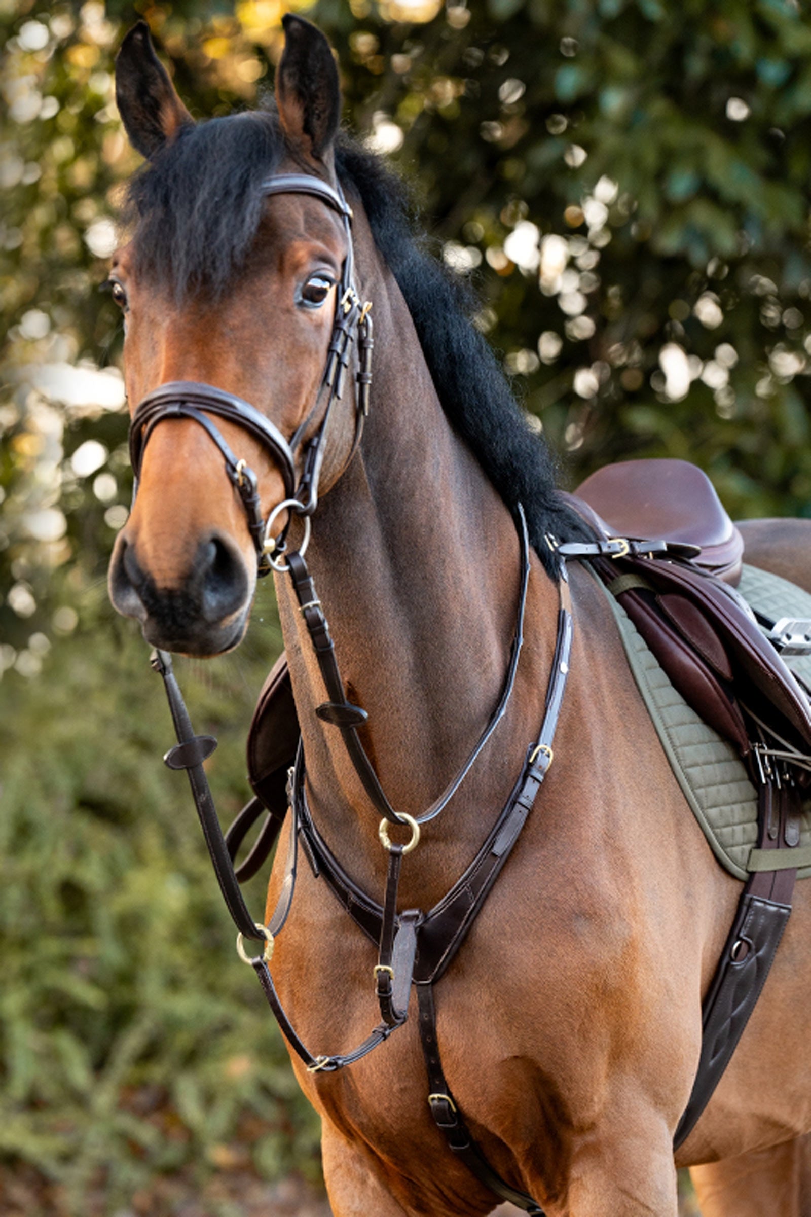 Kavalkade Robin 3-Point Breastplate With Elastic Bridles & Reins