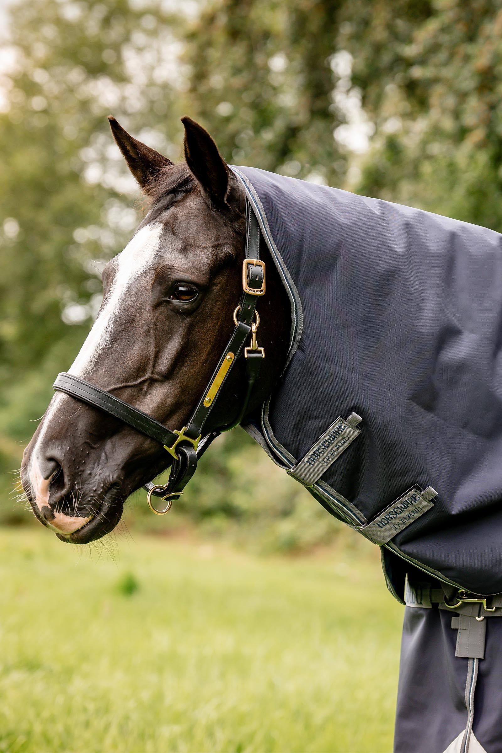 Horseware Rambo Optimo Plus Turnout Bundle (0g + 200g) Horse Rugs