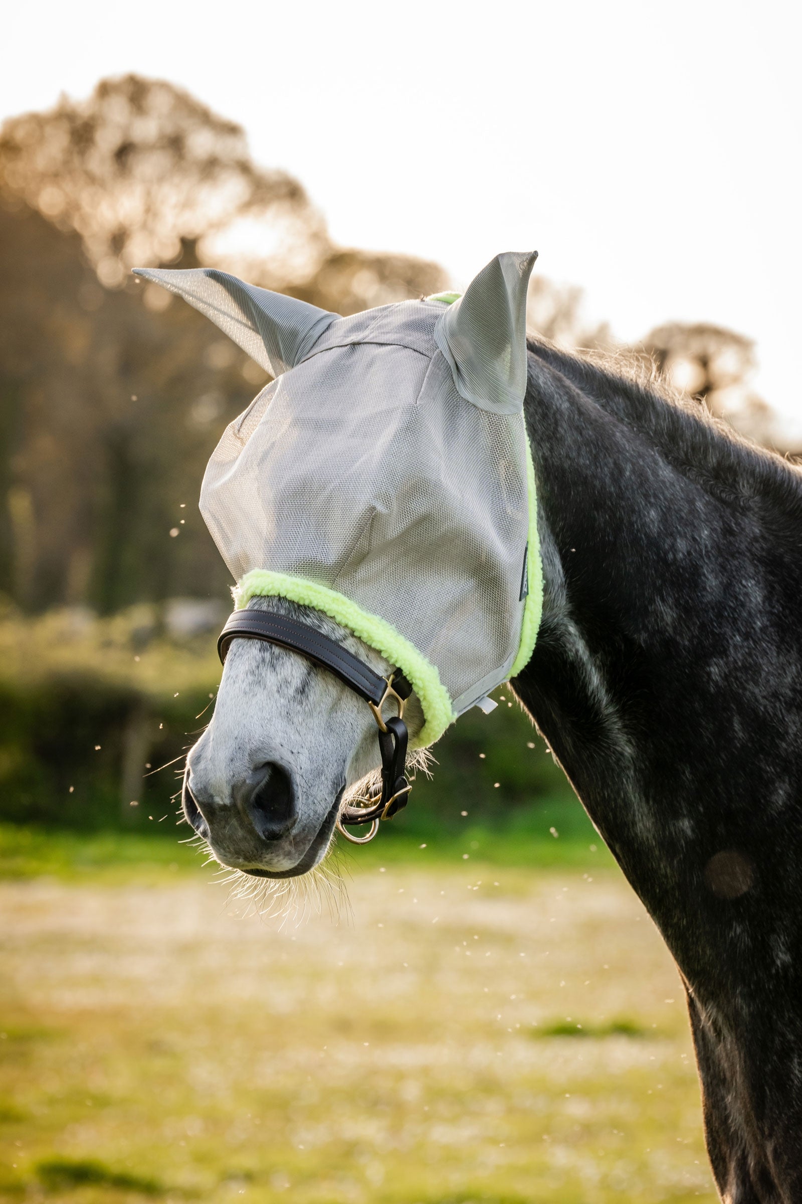 Horseware Amigo Fluemaske Fluebeskyttelse