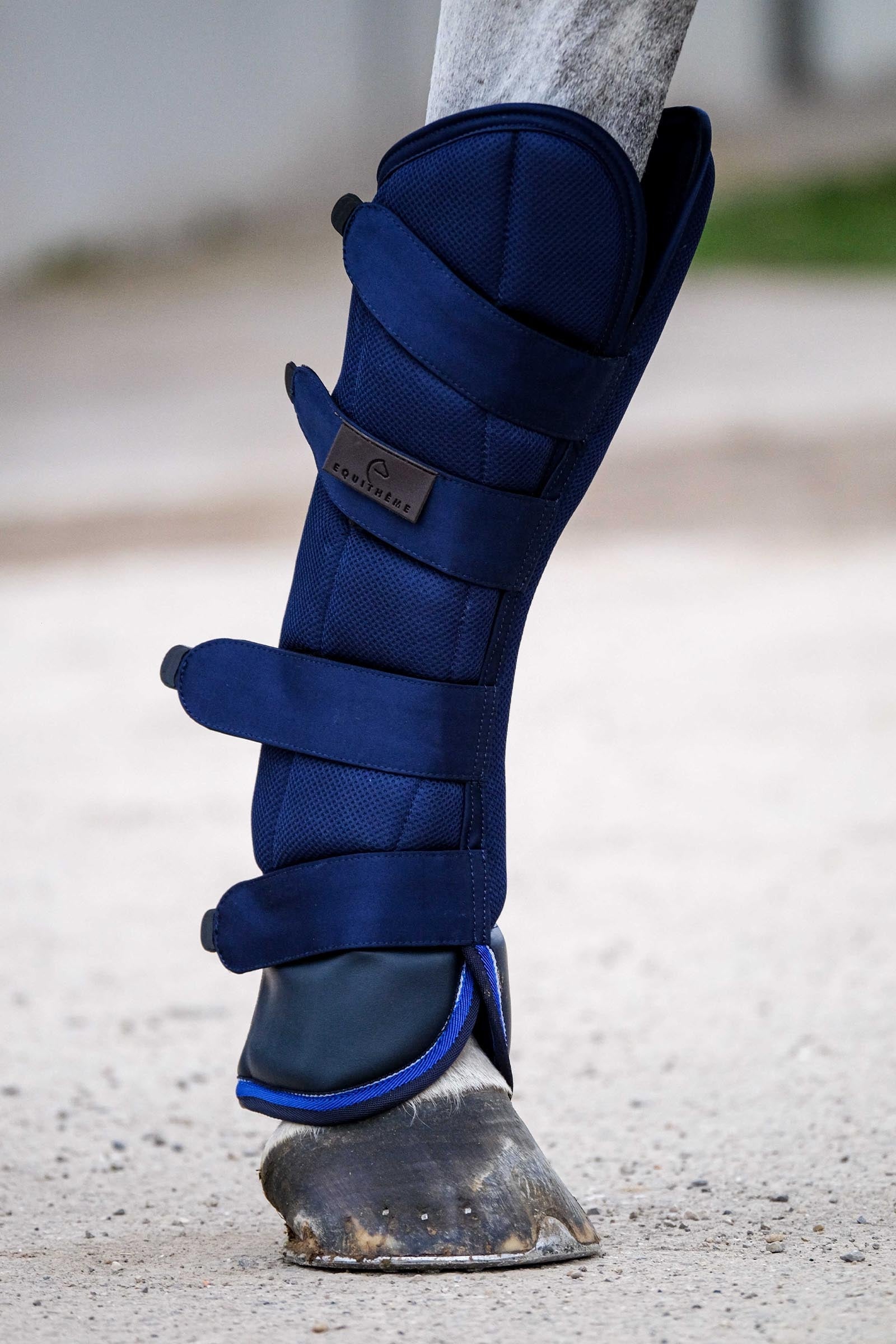 Equi Theme EQUITHÈME Classic transportgamacher Leg & Hoof Protection