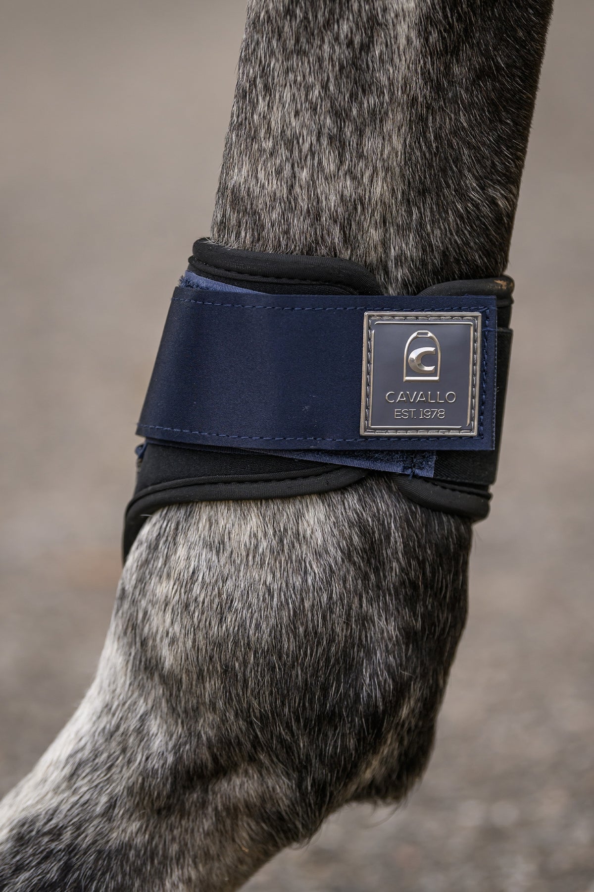 Cavallo CAVALHABOR Fetlock Boots Leg & Hoof Protection