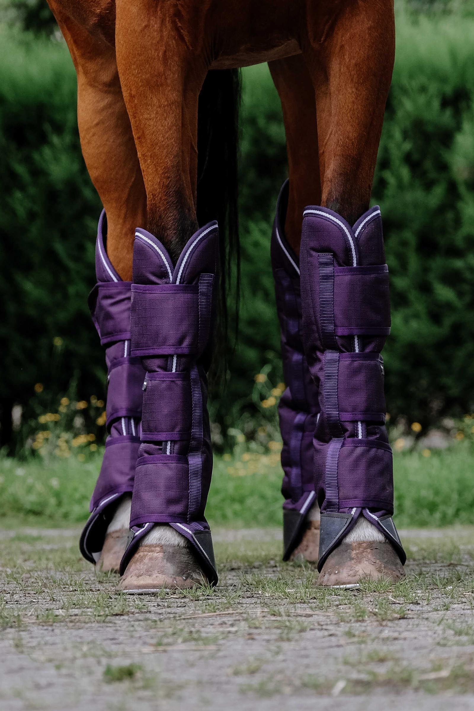 Equi Theme EQUITHÈME TYREX 600D Transport Boots Leg & Hoof Protection