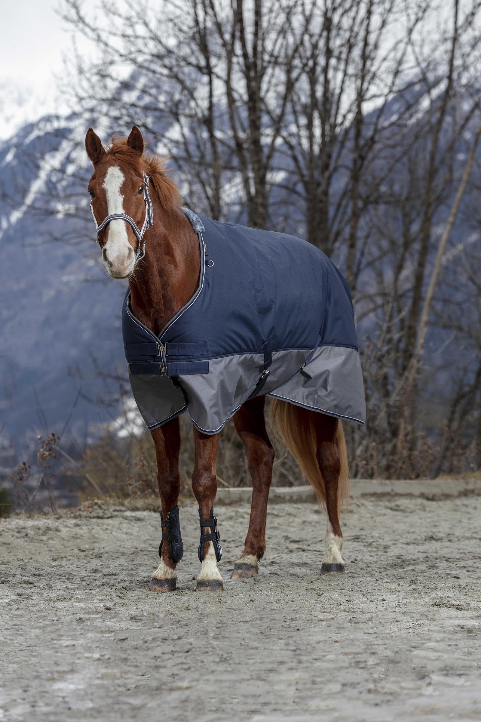 Equi Theme EQUITHÈME TYREX 600D folddækken 150g Hestedækken