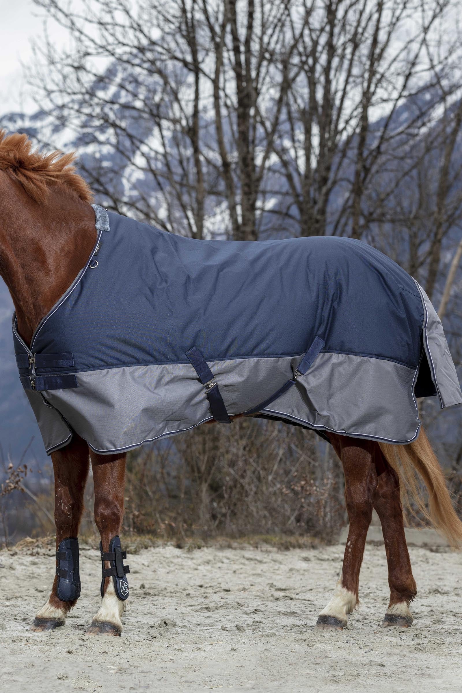 Equi Theme EQUITHÈME TYREX 600D Turnout Rug, 150g Horse Rugs