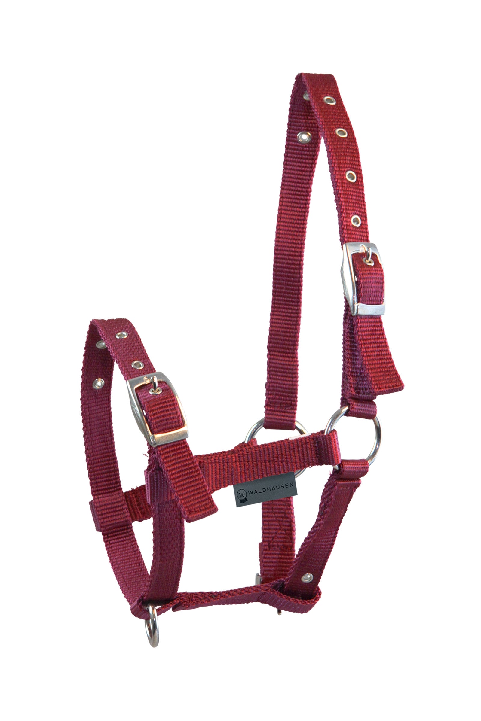Waldhausen Foal Halter Triple Pony & Shetland Tac