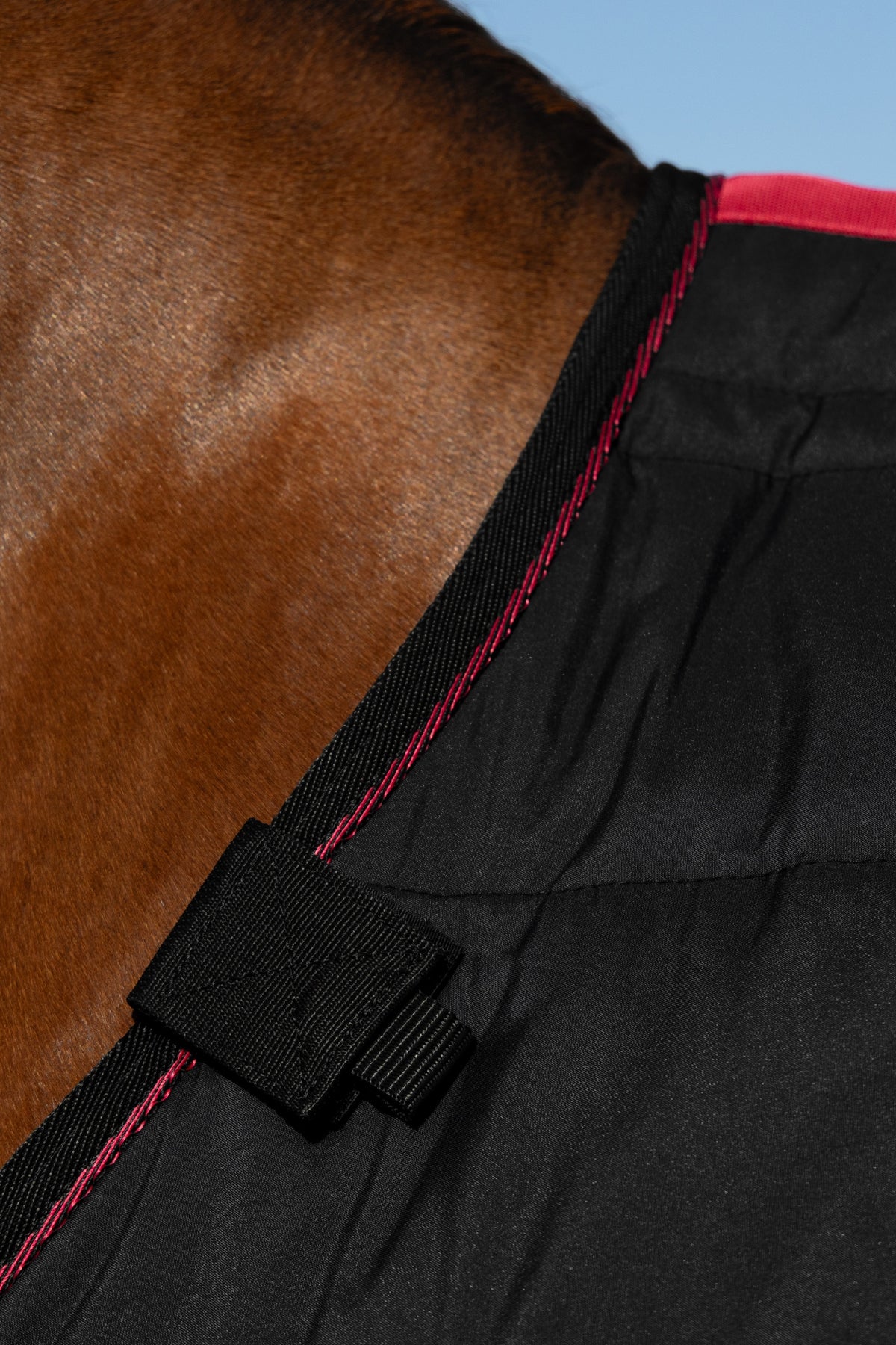 LeMieux InfraTek Therapy Liner, 100 g Horse Rugs