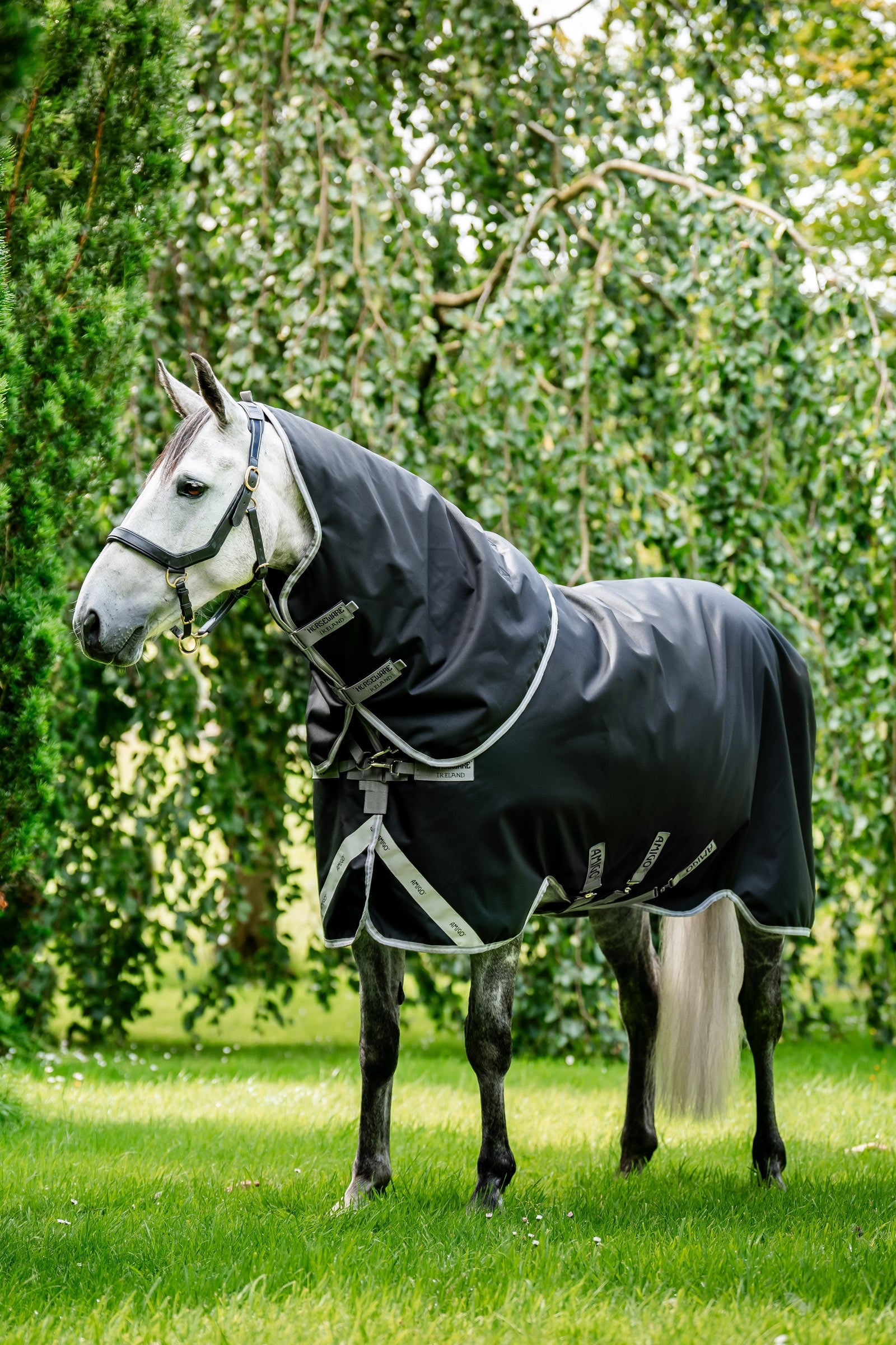 Horseware Amigo 1200D Plus Turnout Rug, 50 g Horse Rugs
