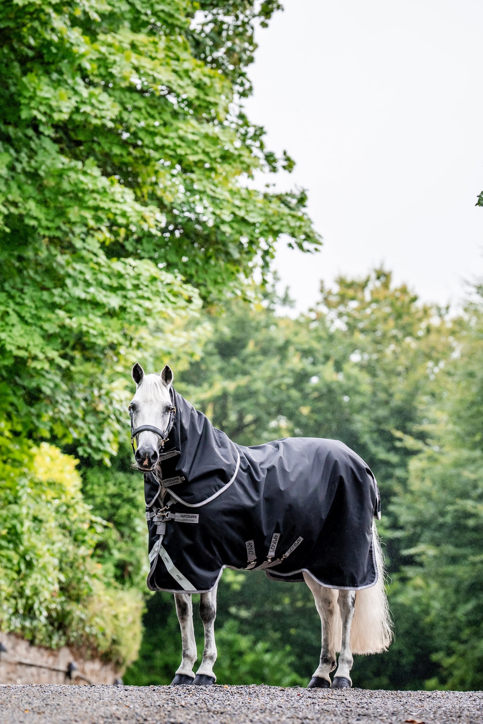 Horseware Amigo 1200D Plus Turnout Rug, 50 g Horse Rugs