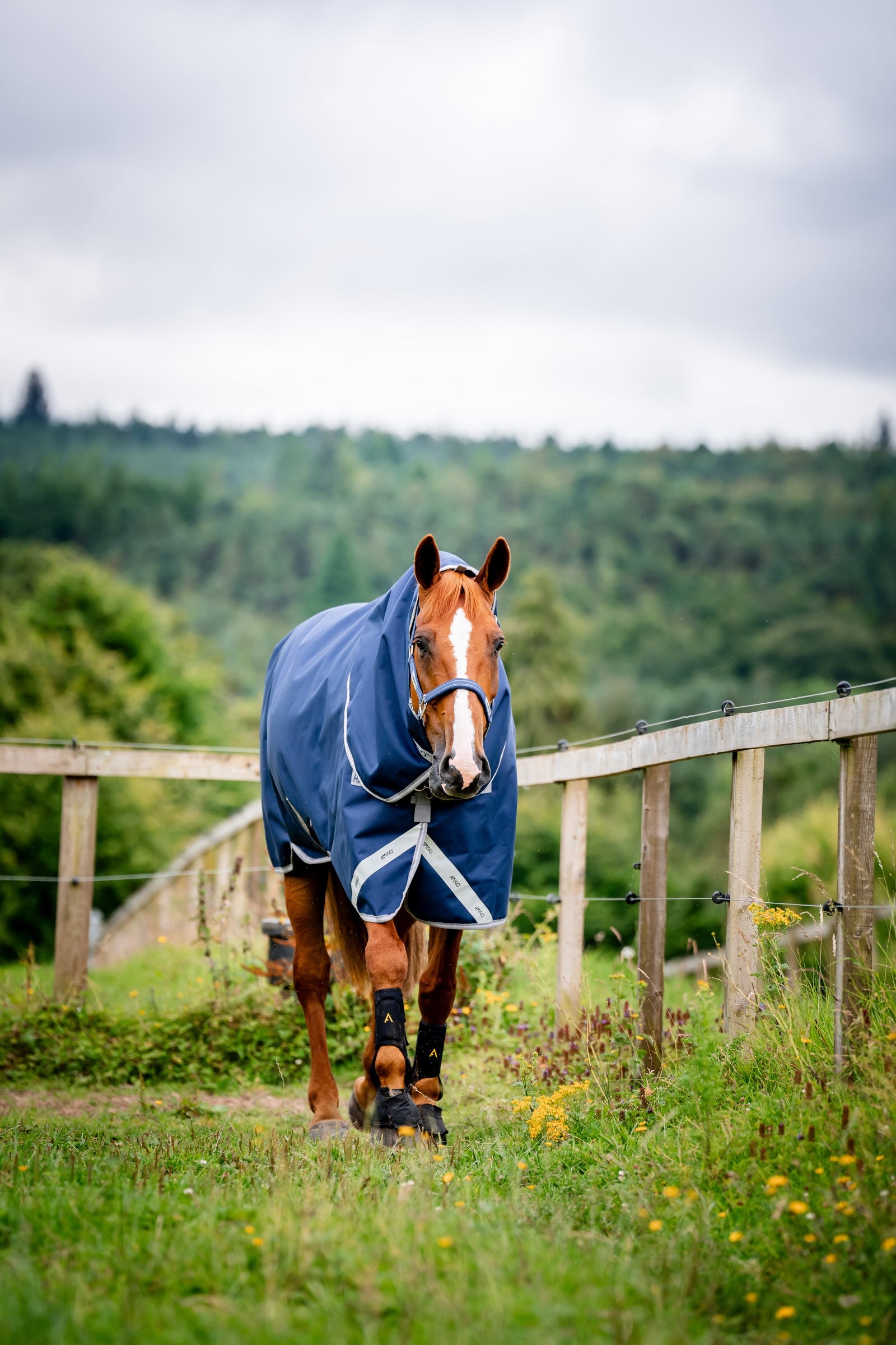 Horseware Amigo 1200D Plus Turnout Rug, 50 g Horse Rugs