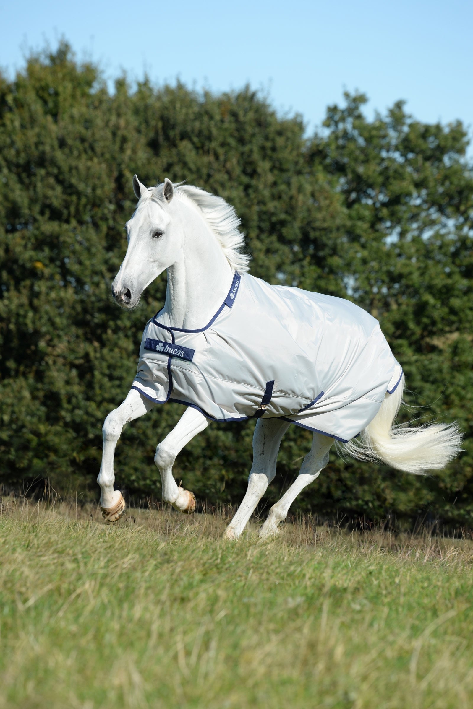 Bucas Sun Shower udedækken, 0g Hestedækken