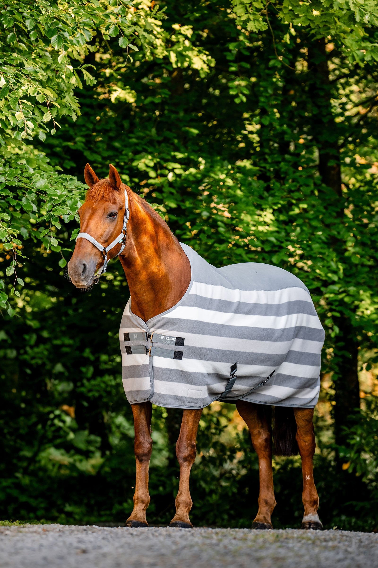 Horseware Newmarket Fleece Køledækken Hestedækken