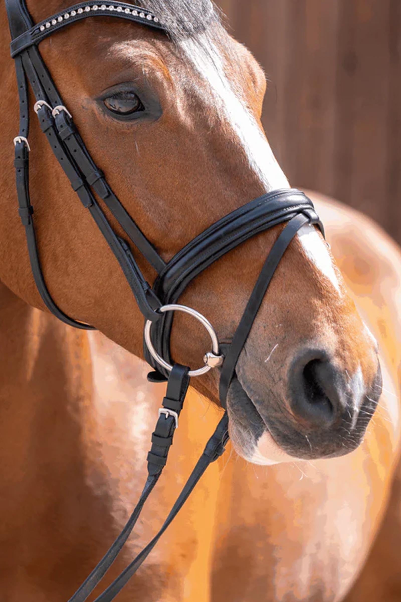 Sprenger Novocontact Loose Ring Snaffle, Double Jt. 12, Sensogan Horse Bits