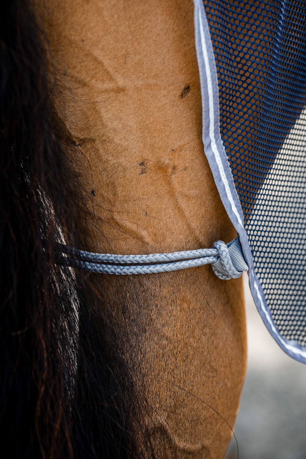 Horseware Amigo Net Cooler Horse Rugs