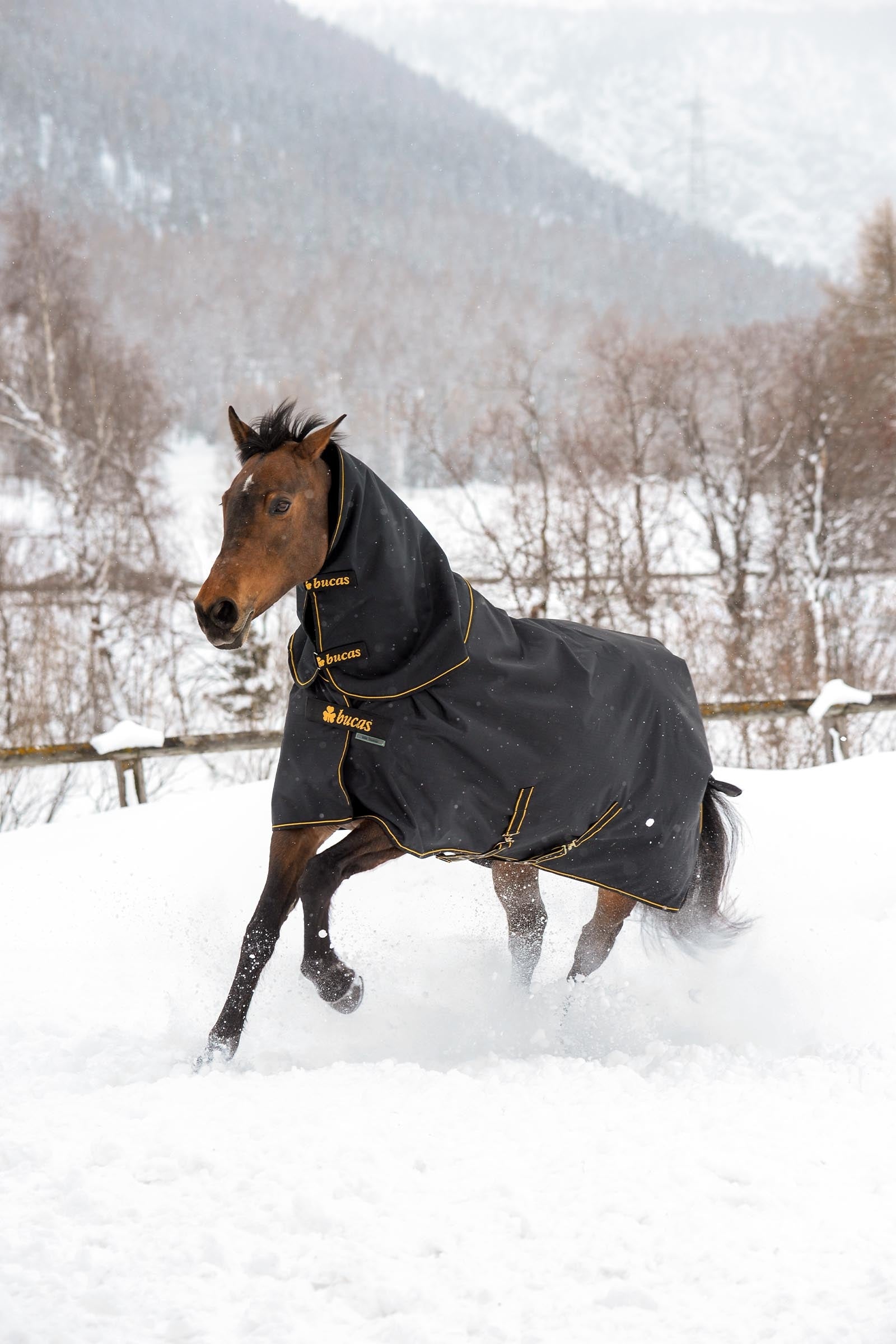 Bucas Irish Turnout Rug, 300 g & Neck Set Horse Rugs