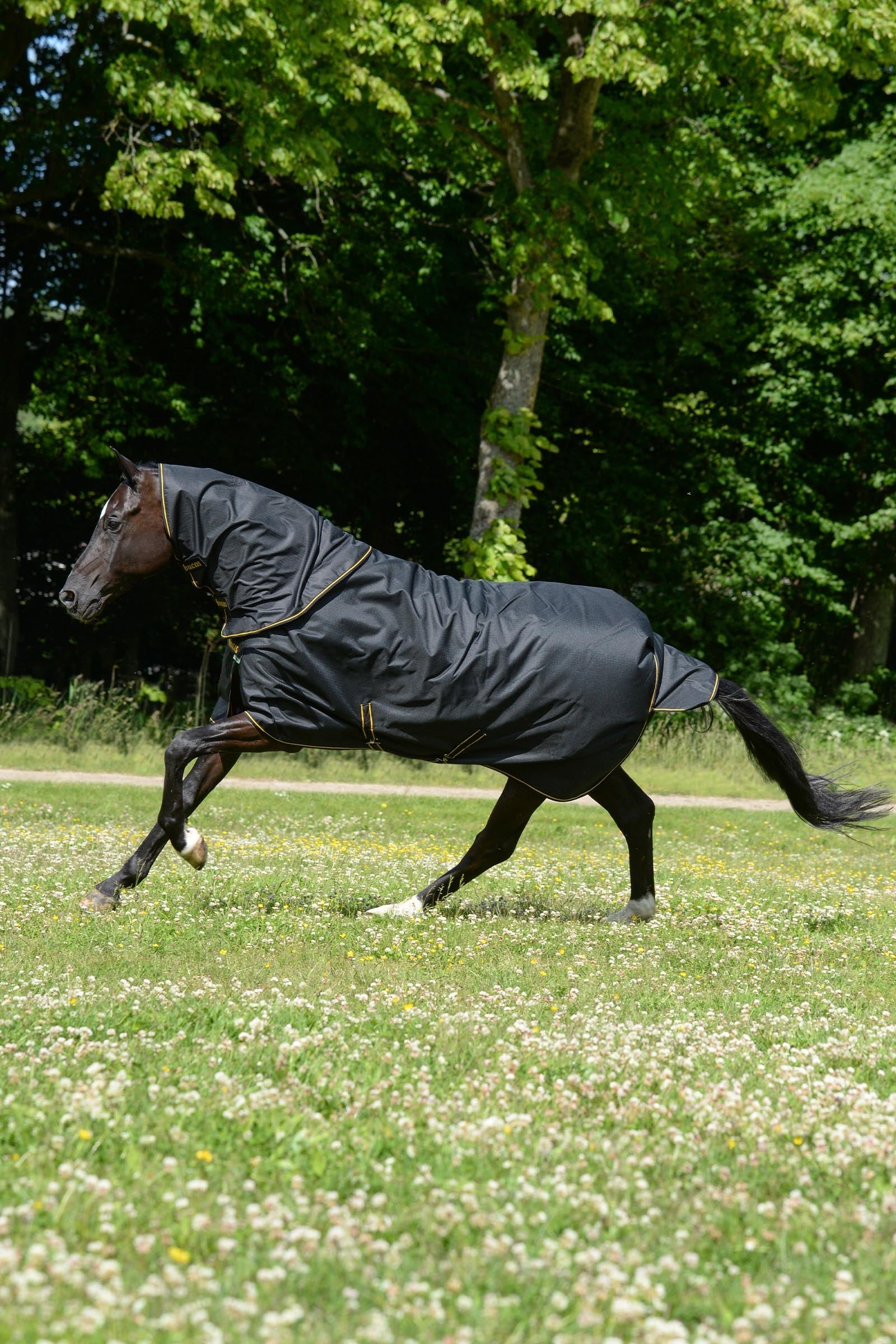 Bucas Irish Turnout Rug, 300 g & Neck Set Horse Rugs