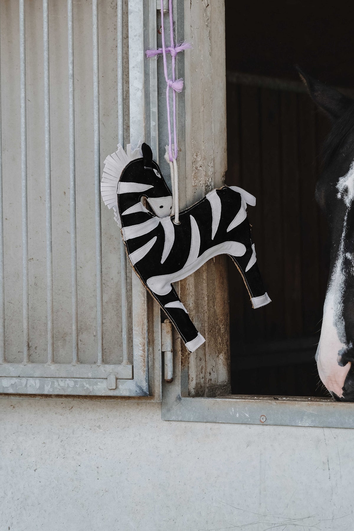 HIPPOTONIC Toy Zebra For Horses Horse Toys & Riding Arena Supplies