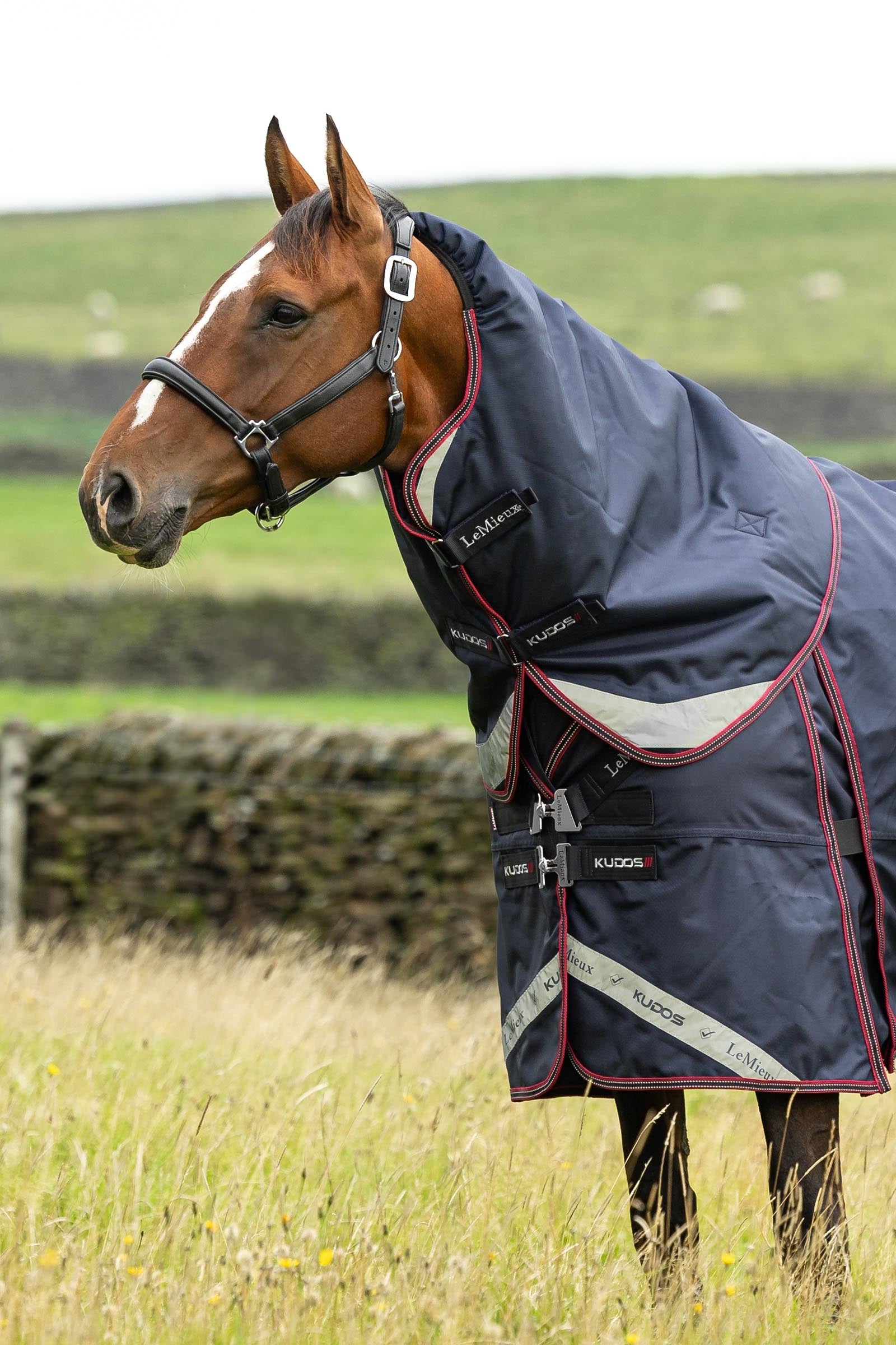 LeMieux Kudos Thermo Layer Turnout Rug, 300 g Horse Rugs