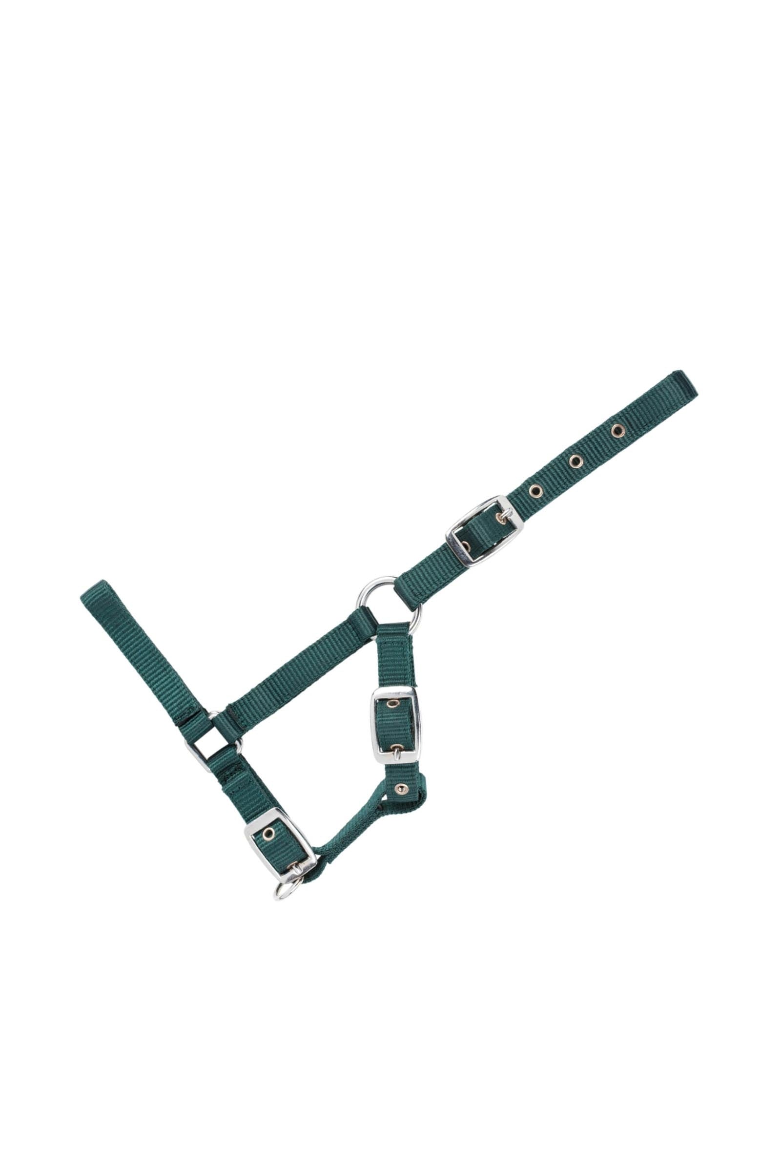 USG Adjustable Foal Halter Grimer & Træktove