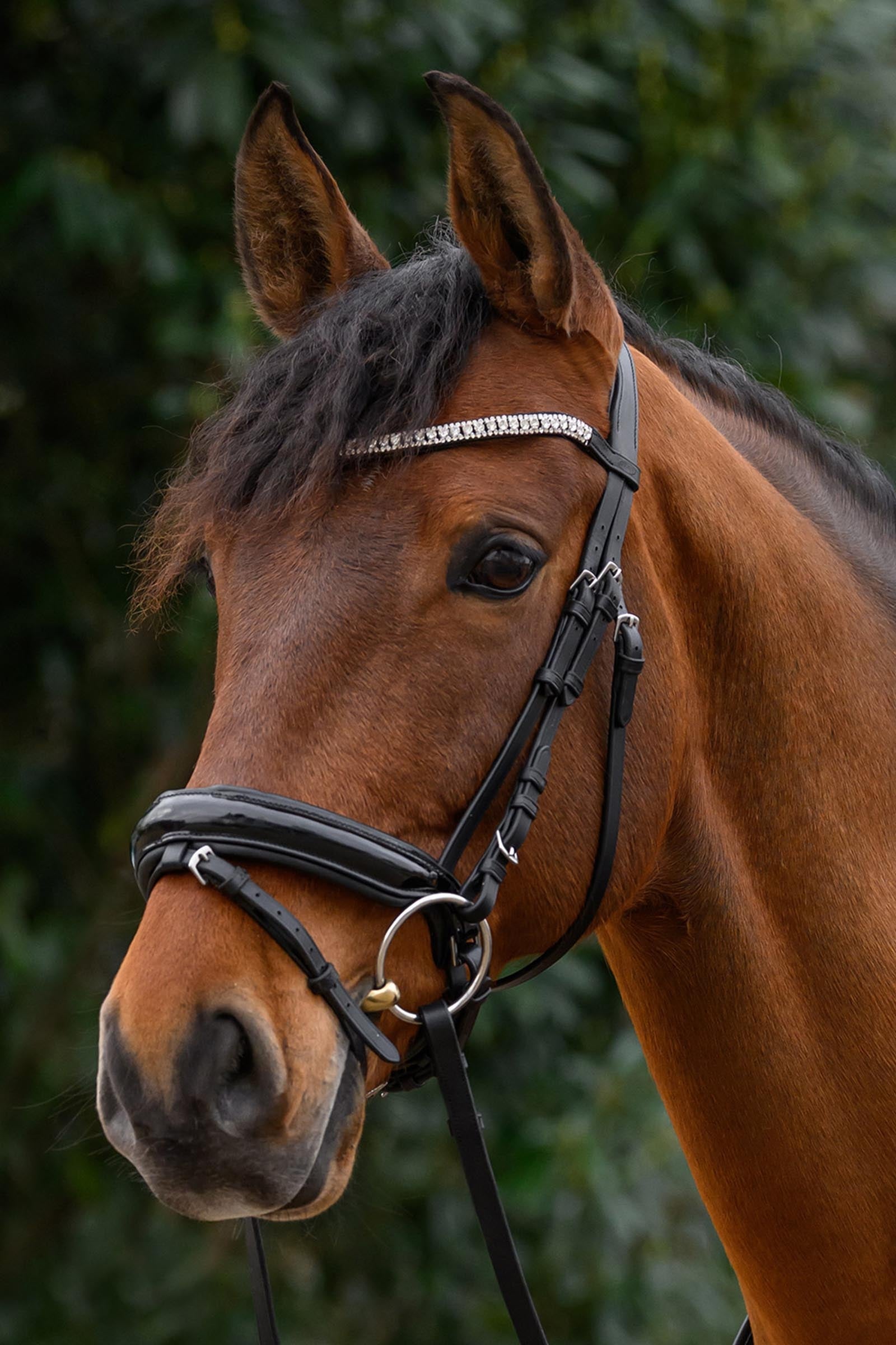 Star Glitter Browband Bridles & Reins