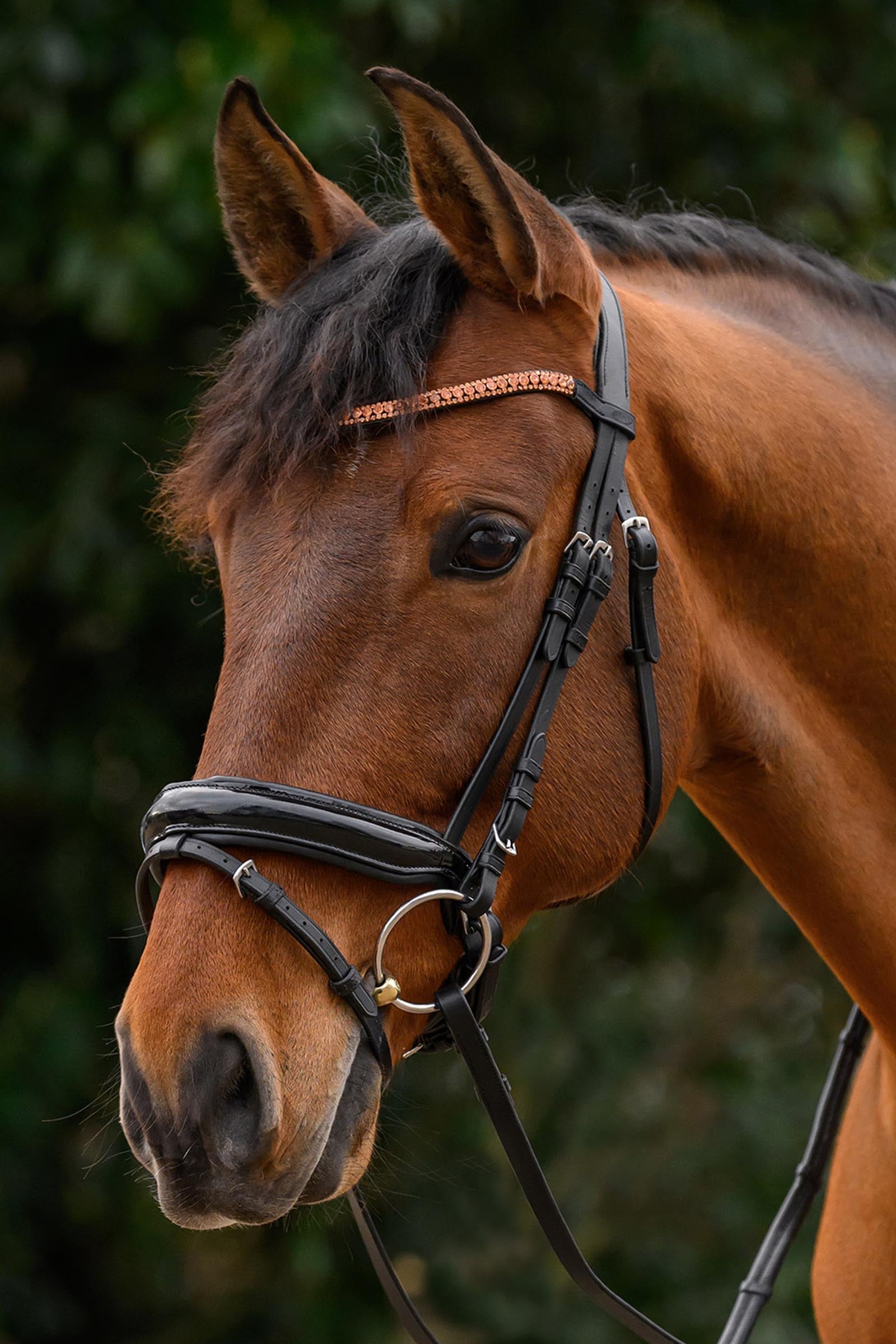 Star Glitter Browband Bridles & Reins