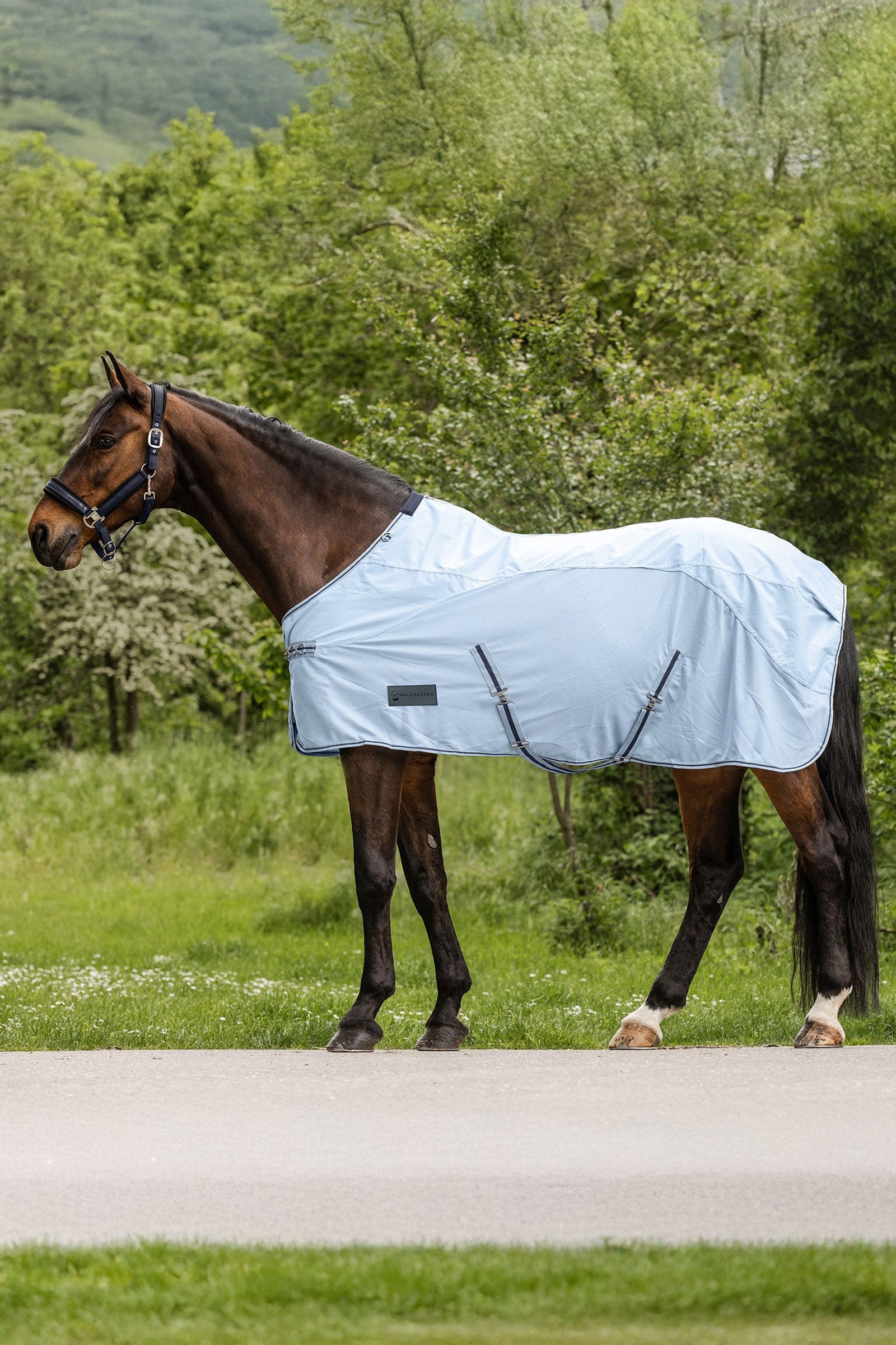 Waldhausen Protect Rain Fly Rug Horse Rugs