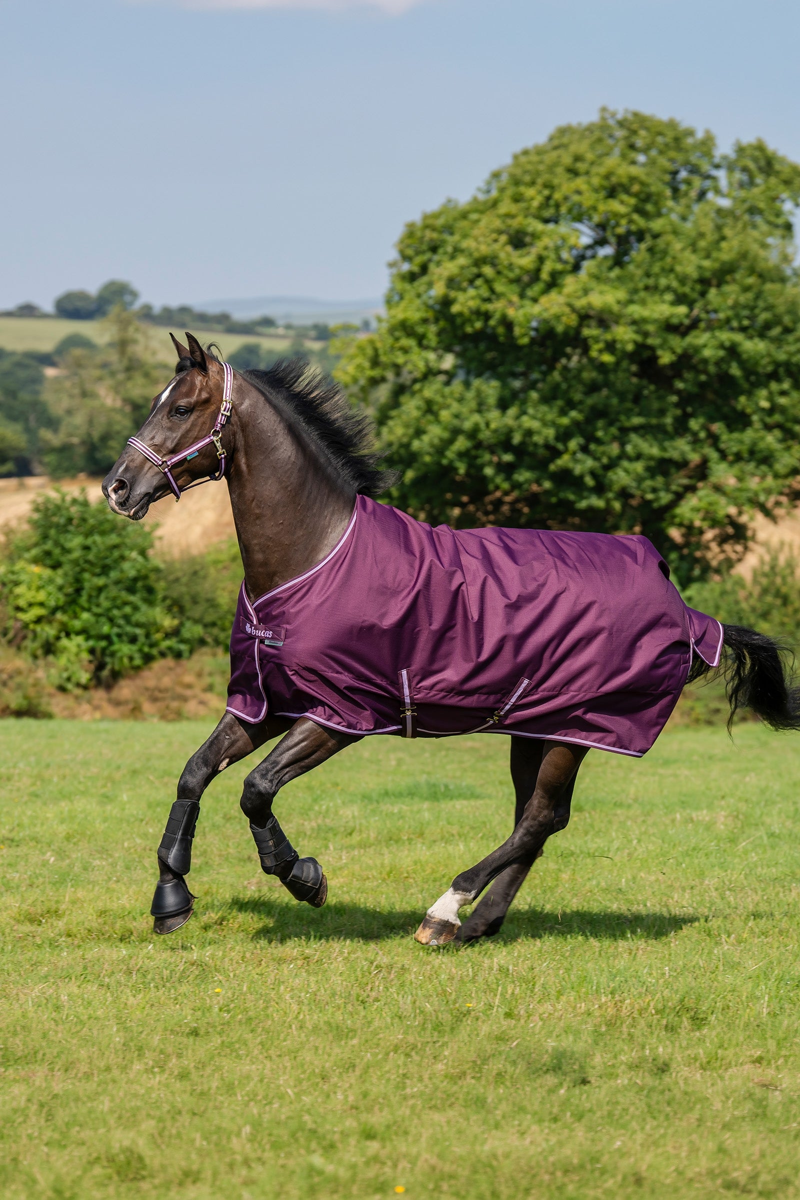 Bucas Freedom Turnout Rug, 300g Horse Rugs