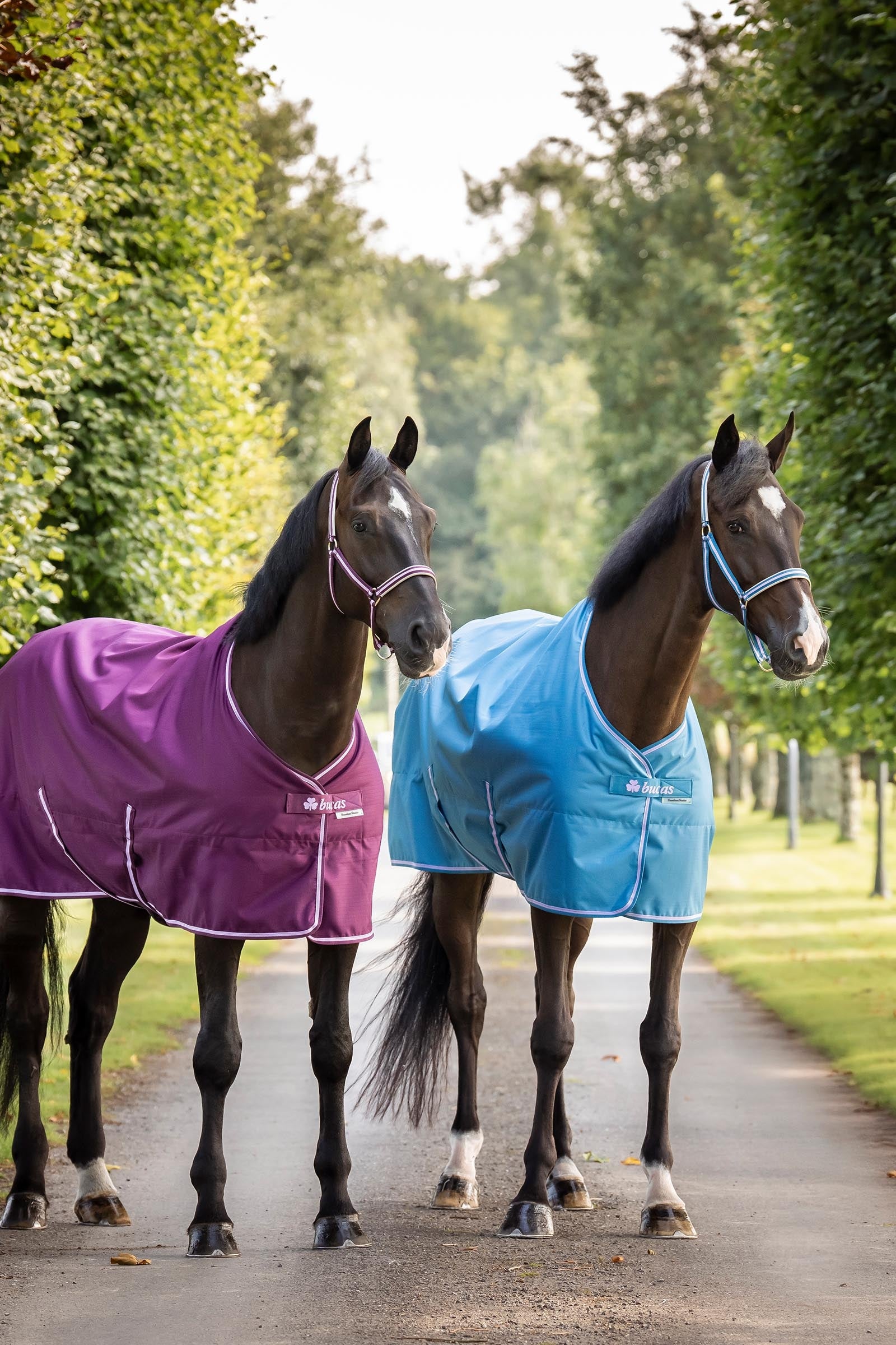 Bucas Freedom Turnout Rug, 300g Horse Rugs