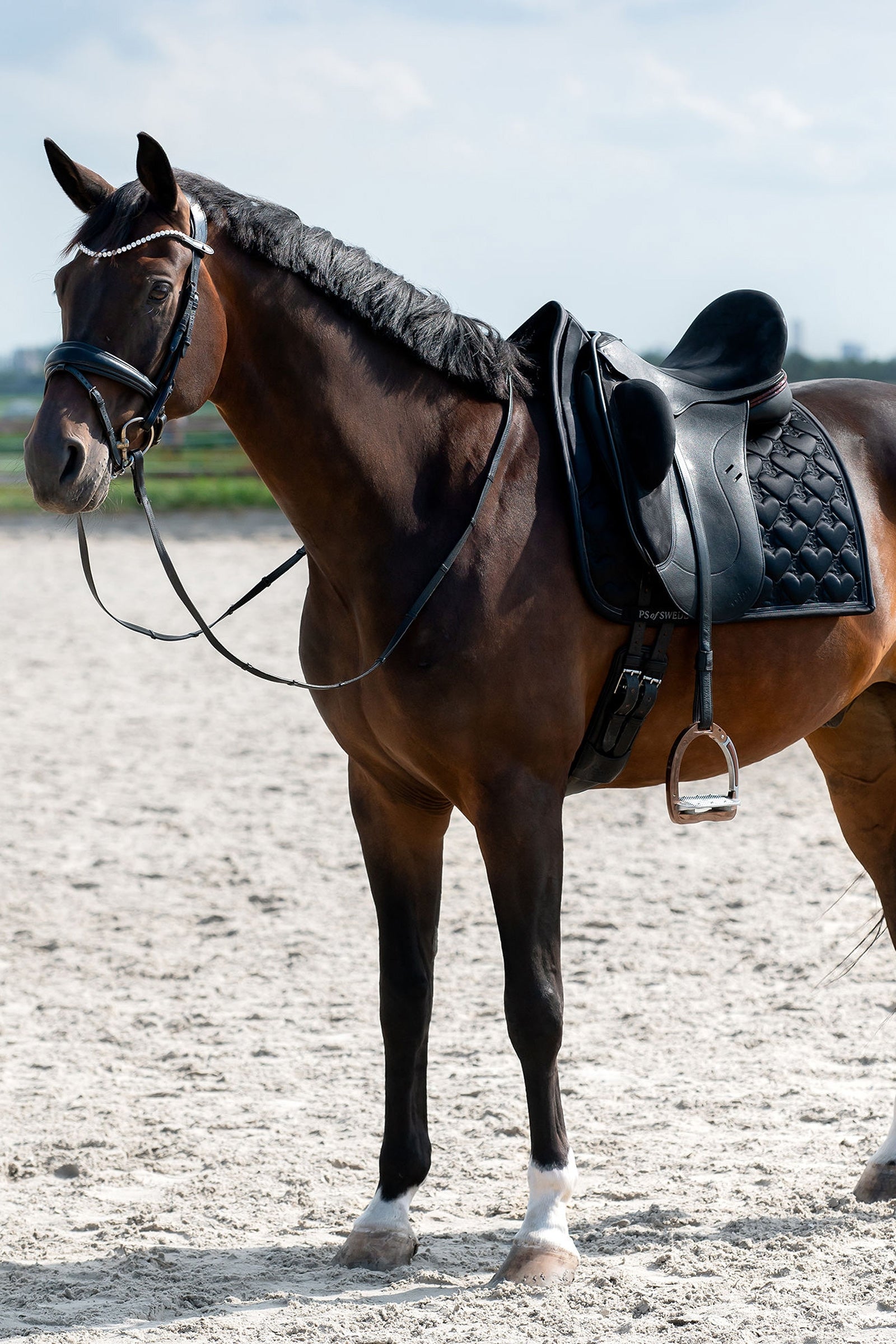 PS of Sweden Heart Dressage Saddle Pad Saddle Pads