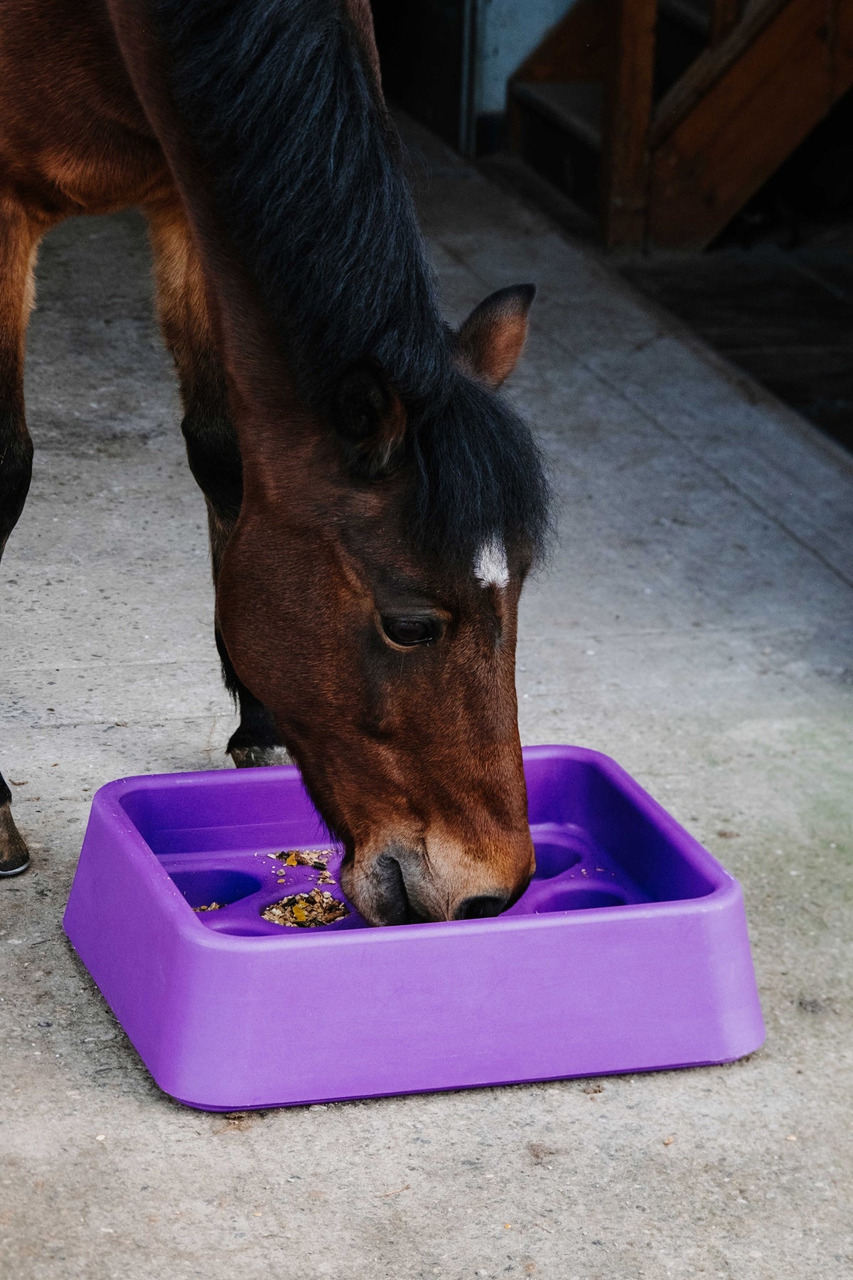 HIPPOTONIC Anti-Gorging Feeder, 14 L Horse Feeders & Waterers