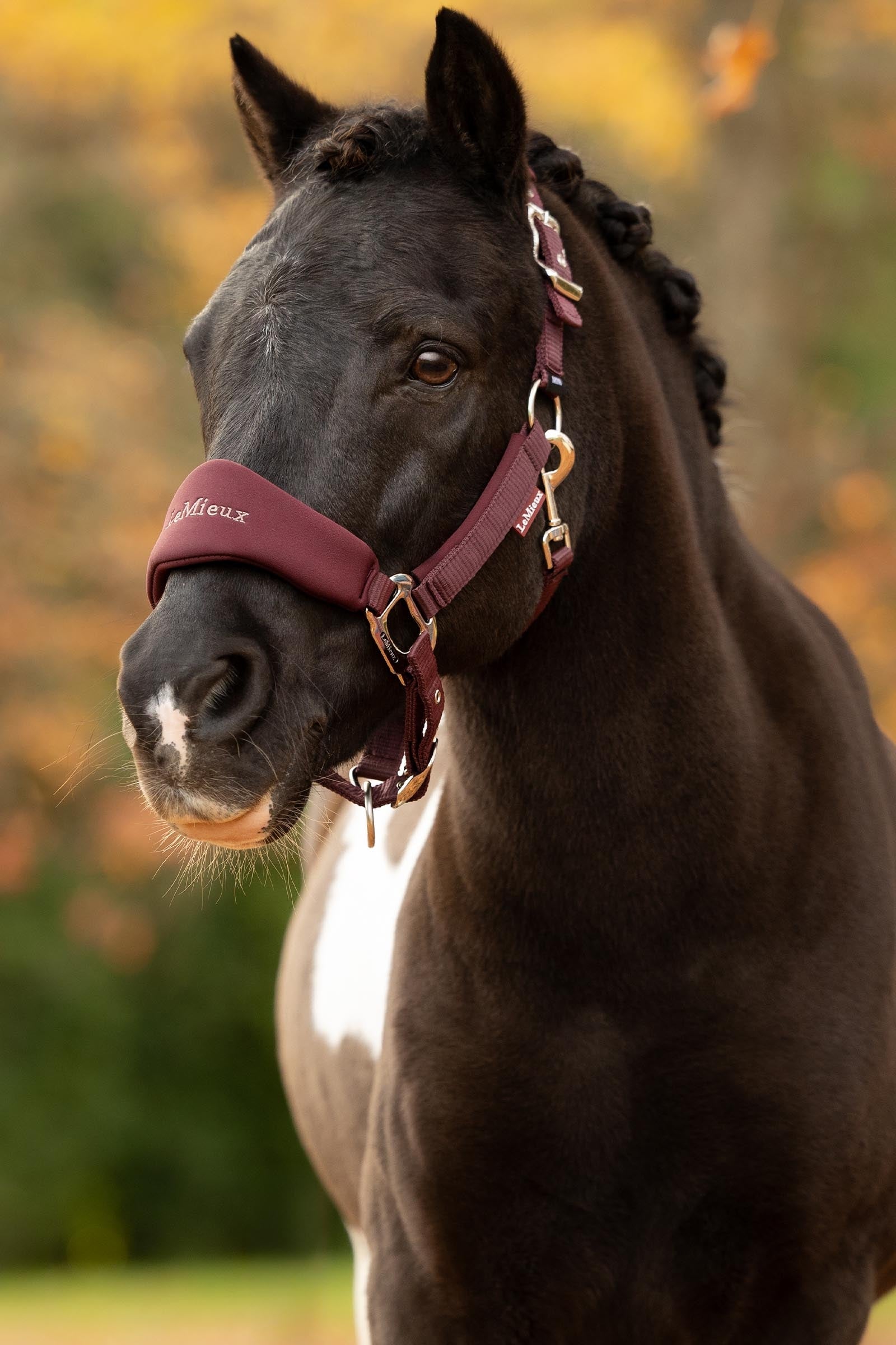 LeMieux Breakaway Vogue Headcollar Halters & Leads