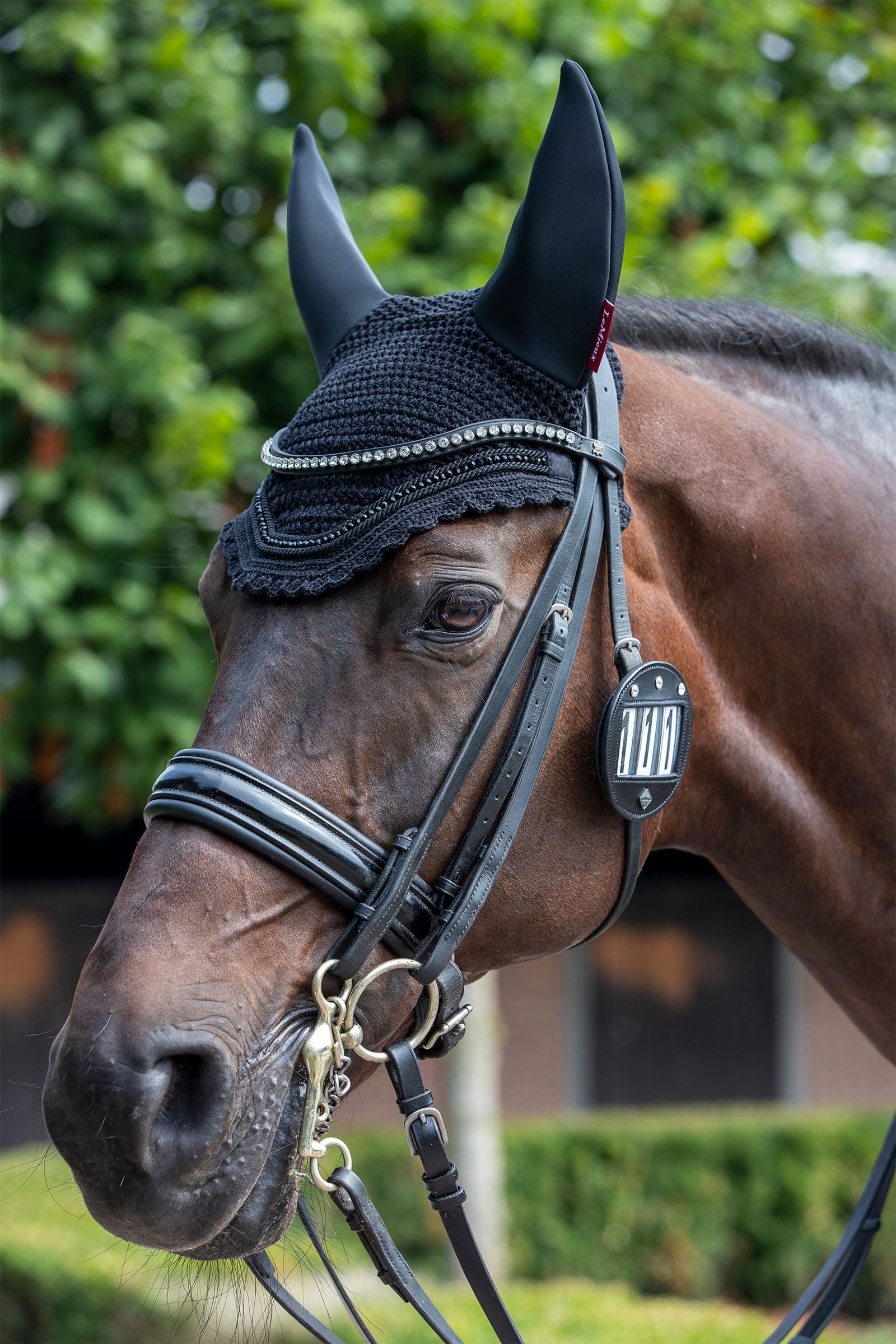 LeMieux Bridle Number Holder Diamante (1 piece) Bridles & Reins