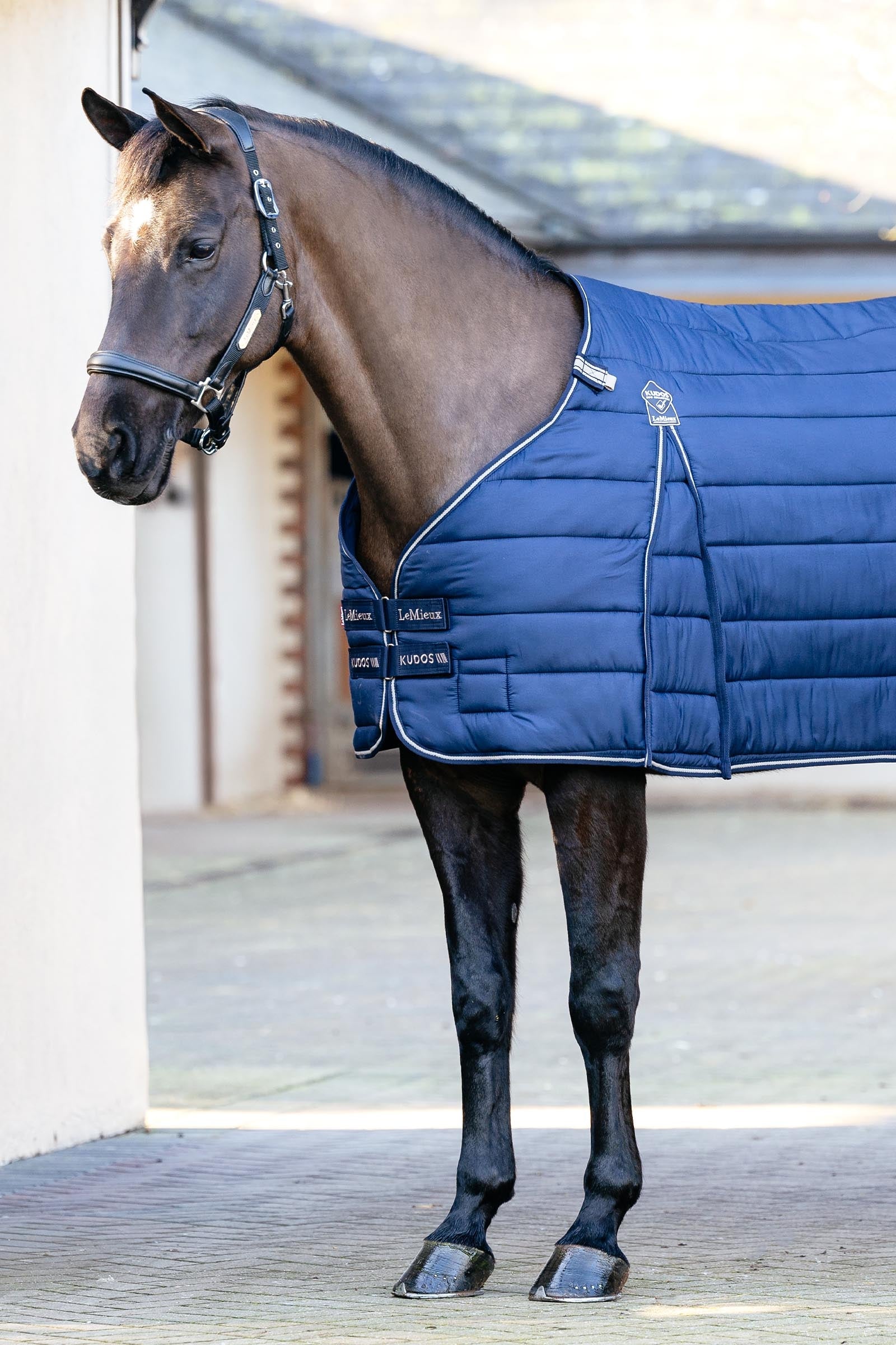 LeMieux Kudos Rug Liner, 100 g Horse Rugs