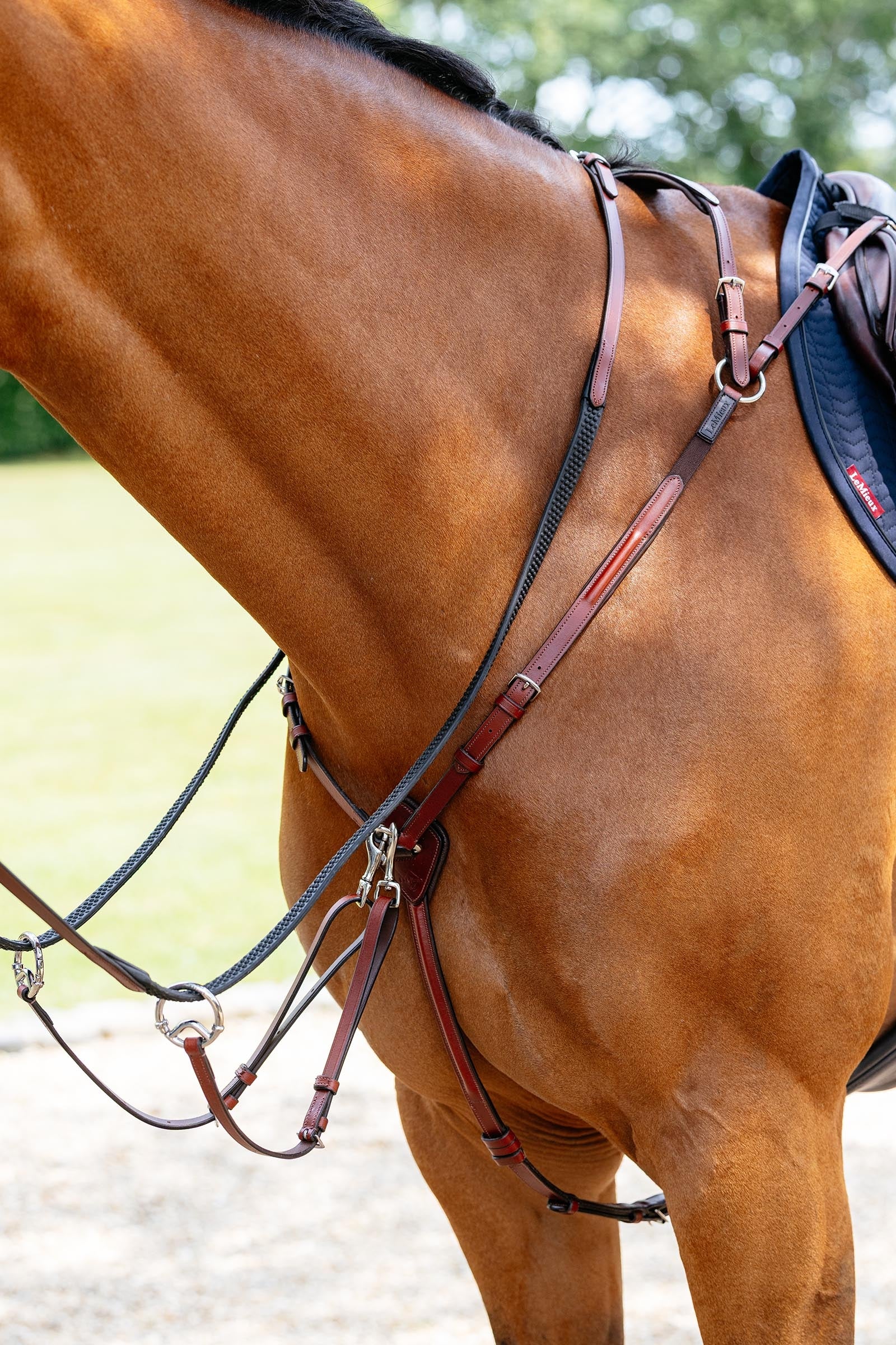 LeMieux Breastplate With Detachable Martingale Bridles & Reins