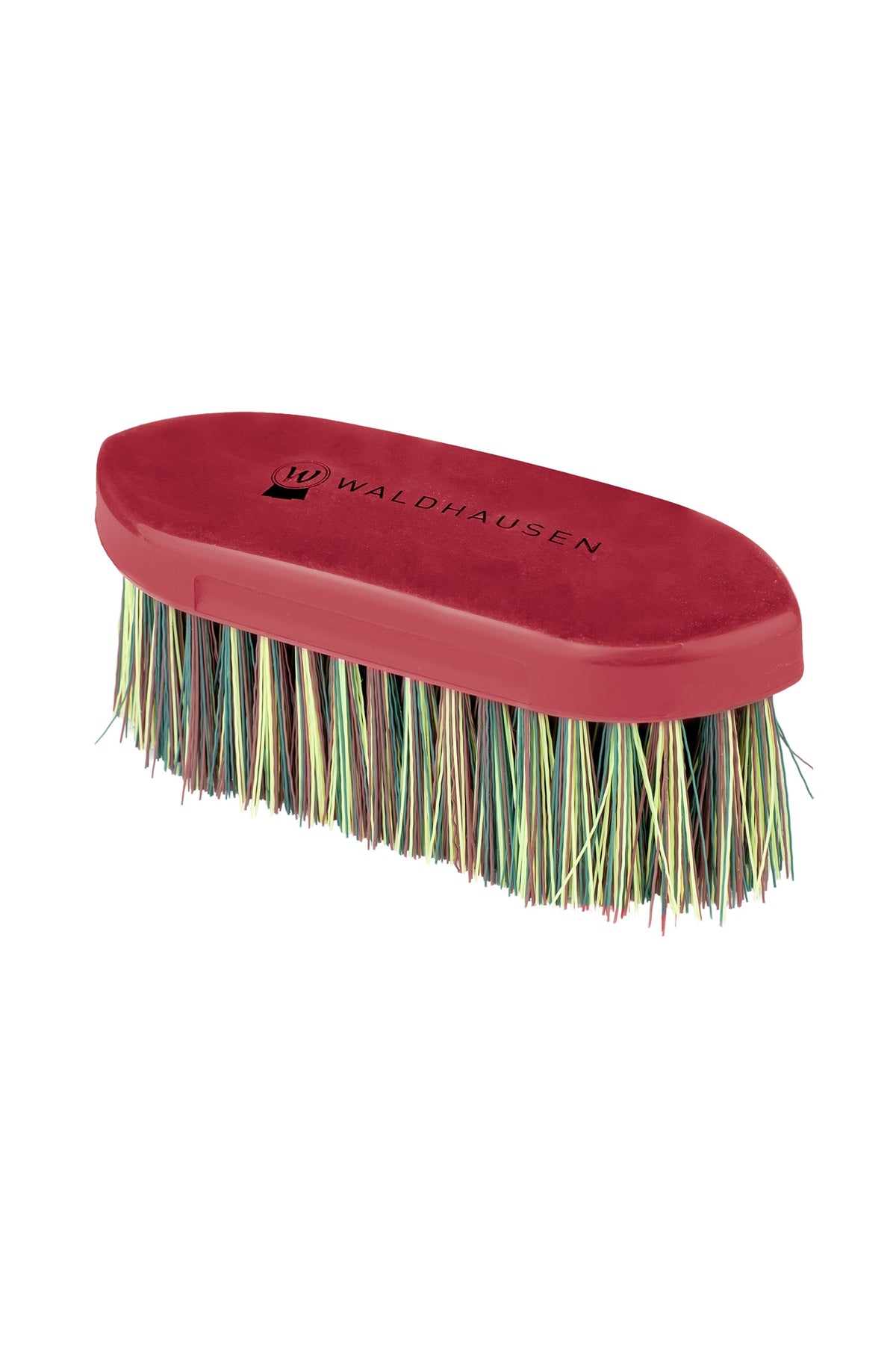 Waldhausen Rainbow Stiff Brush Horse Grooming Tools