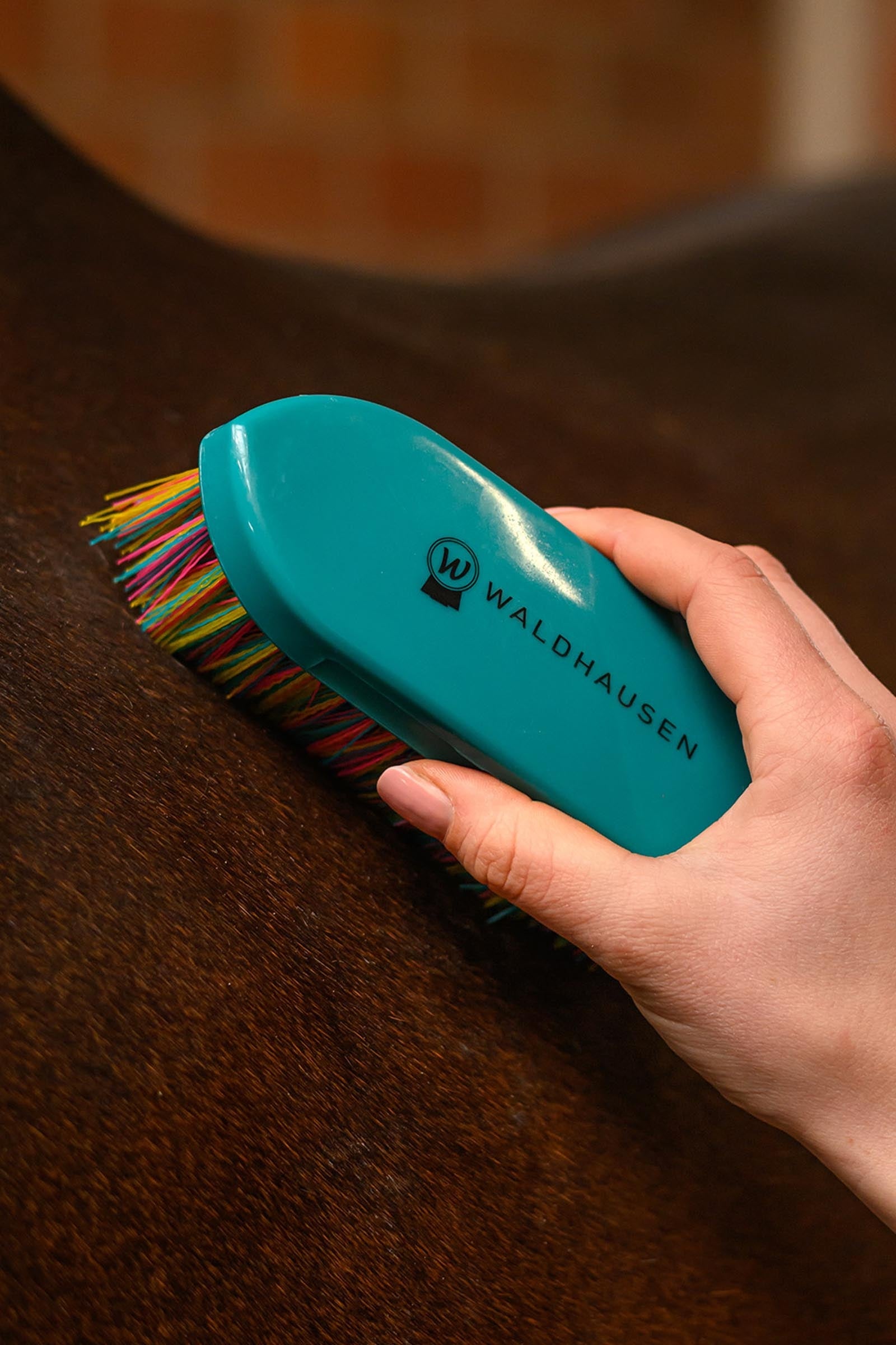 Waldhausen Rainbow Stiff Brush Horse Grooming Tools