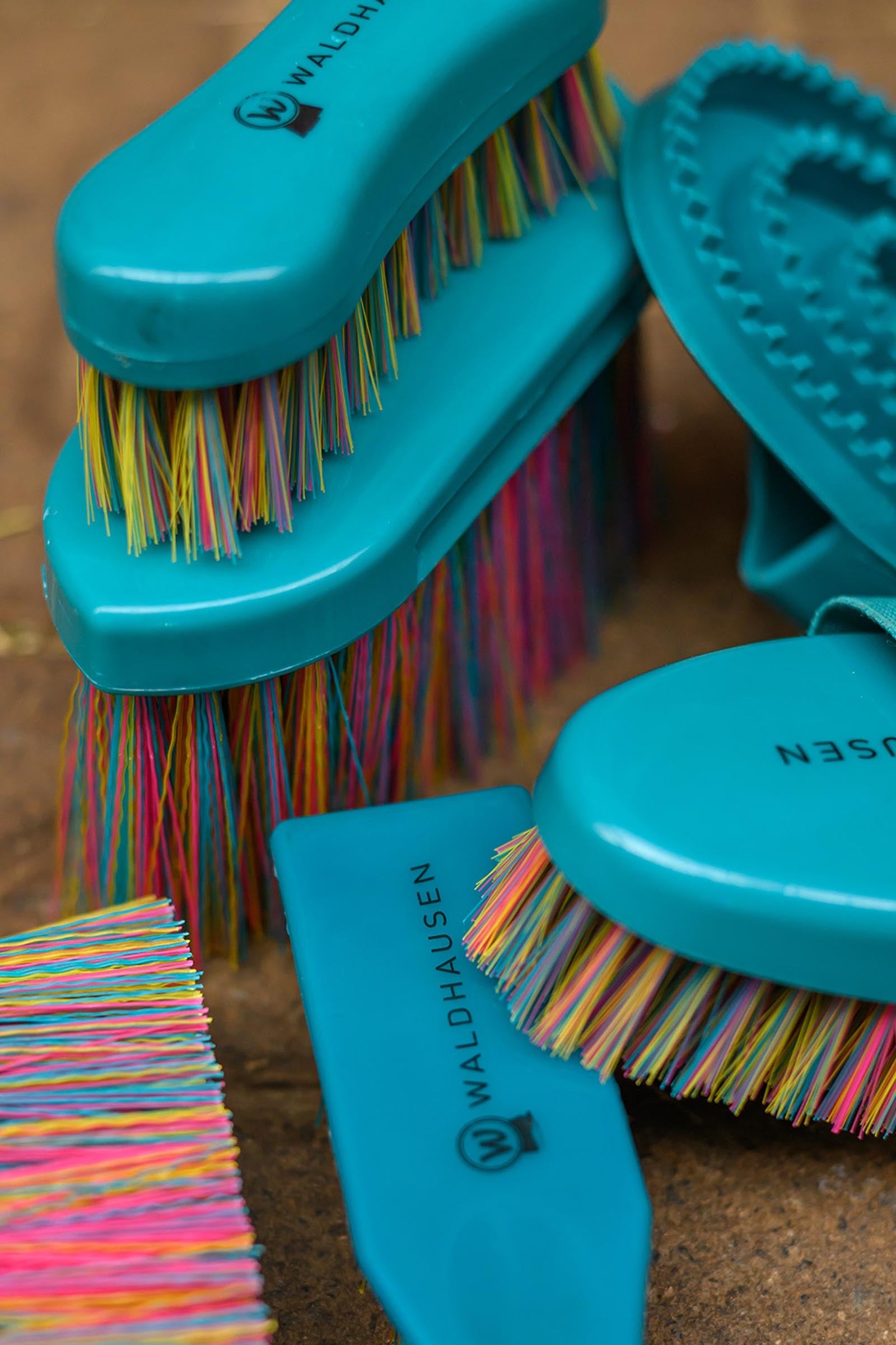 Waldhausen Rainbow Stiff Brush Horse Grooming Tools
