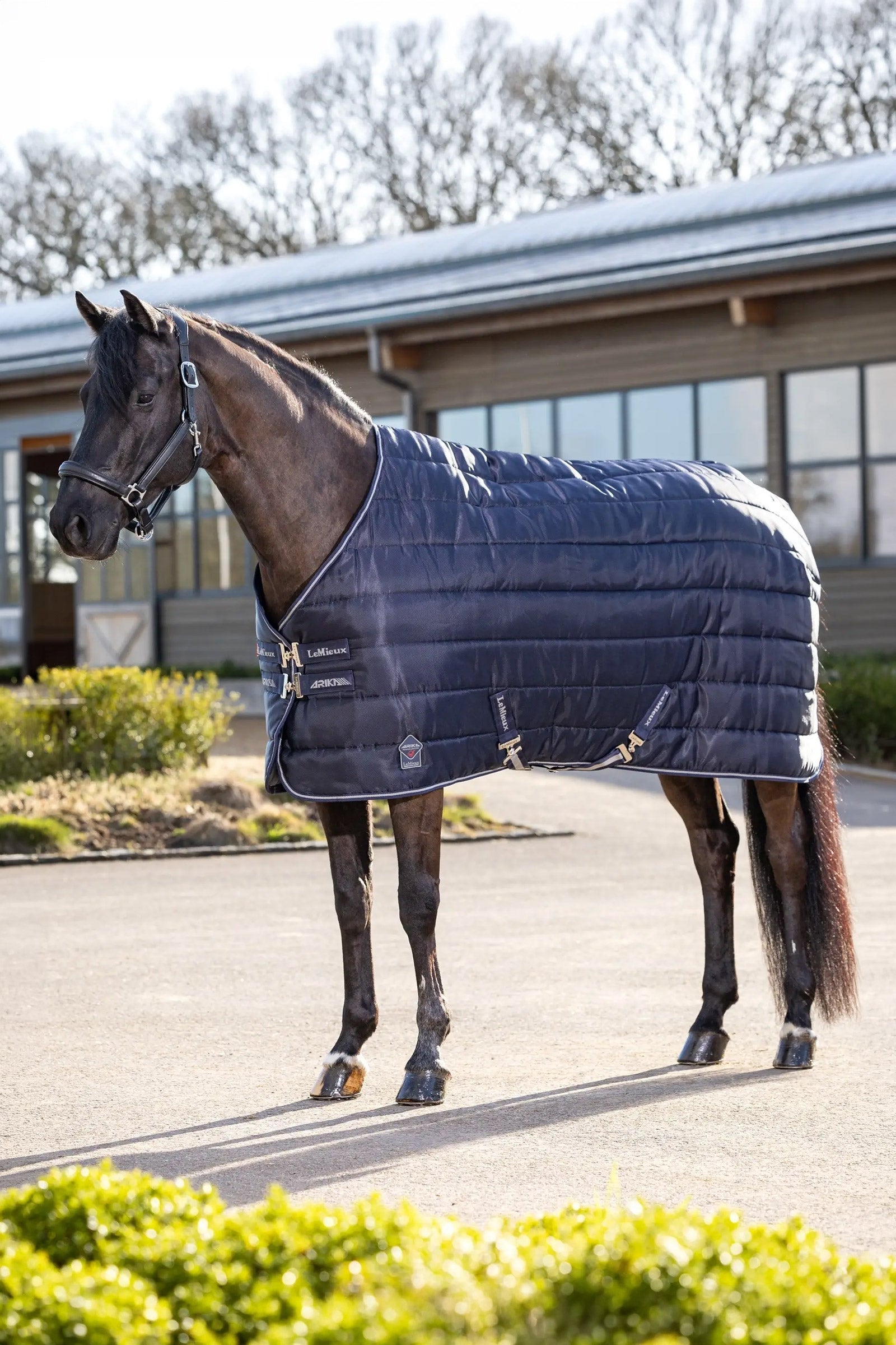 LeMieux Arika Stable-Tek Stable Rug, 350 g Hestedækken