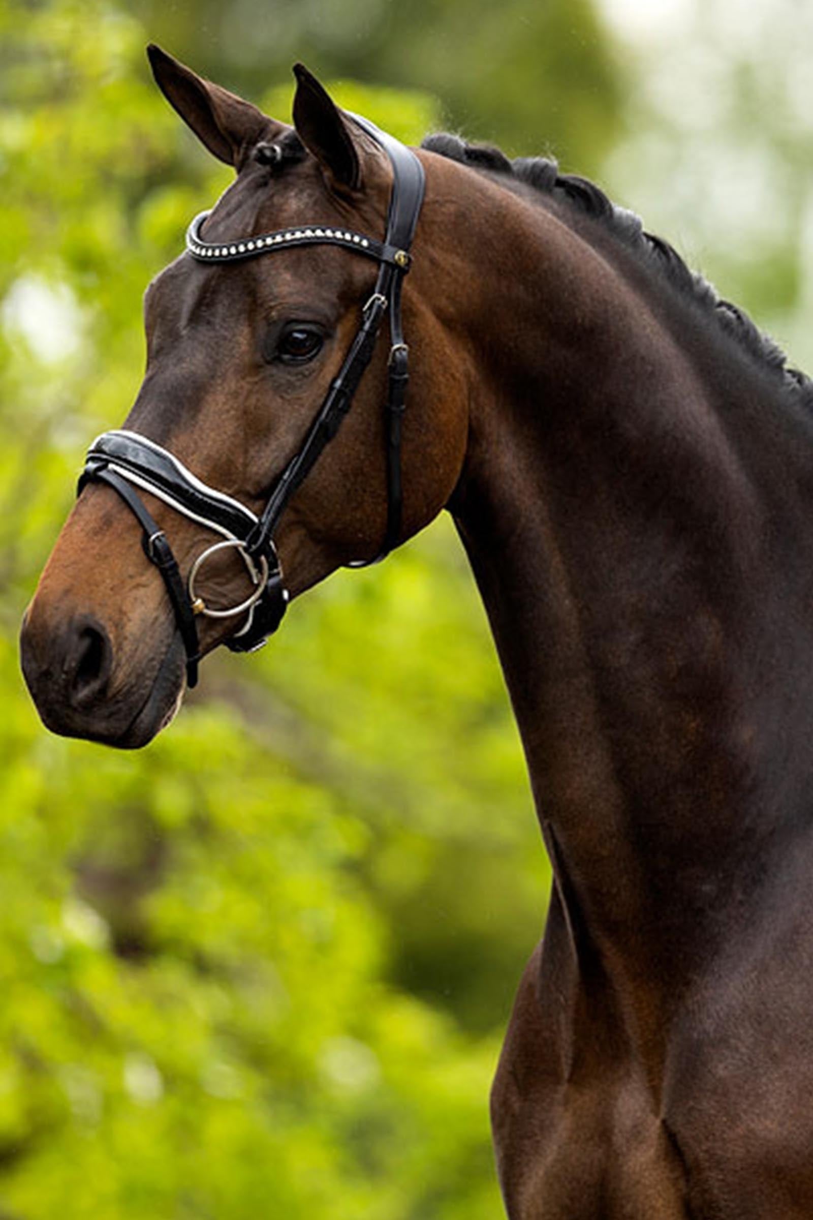 BR Bolton Bridle Bridles & Reins