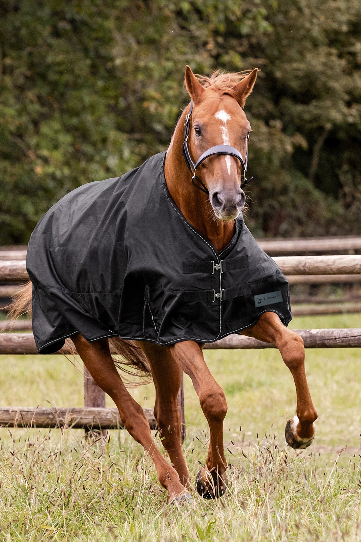 Waldhausen NORDIC 600D Outdoor Rug, 50 g Horse Rugs