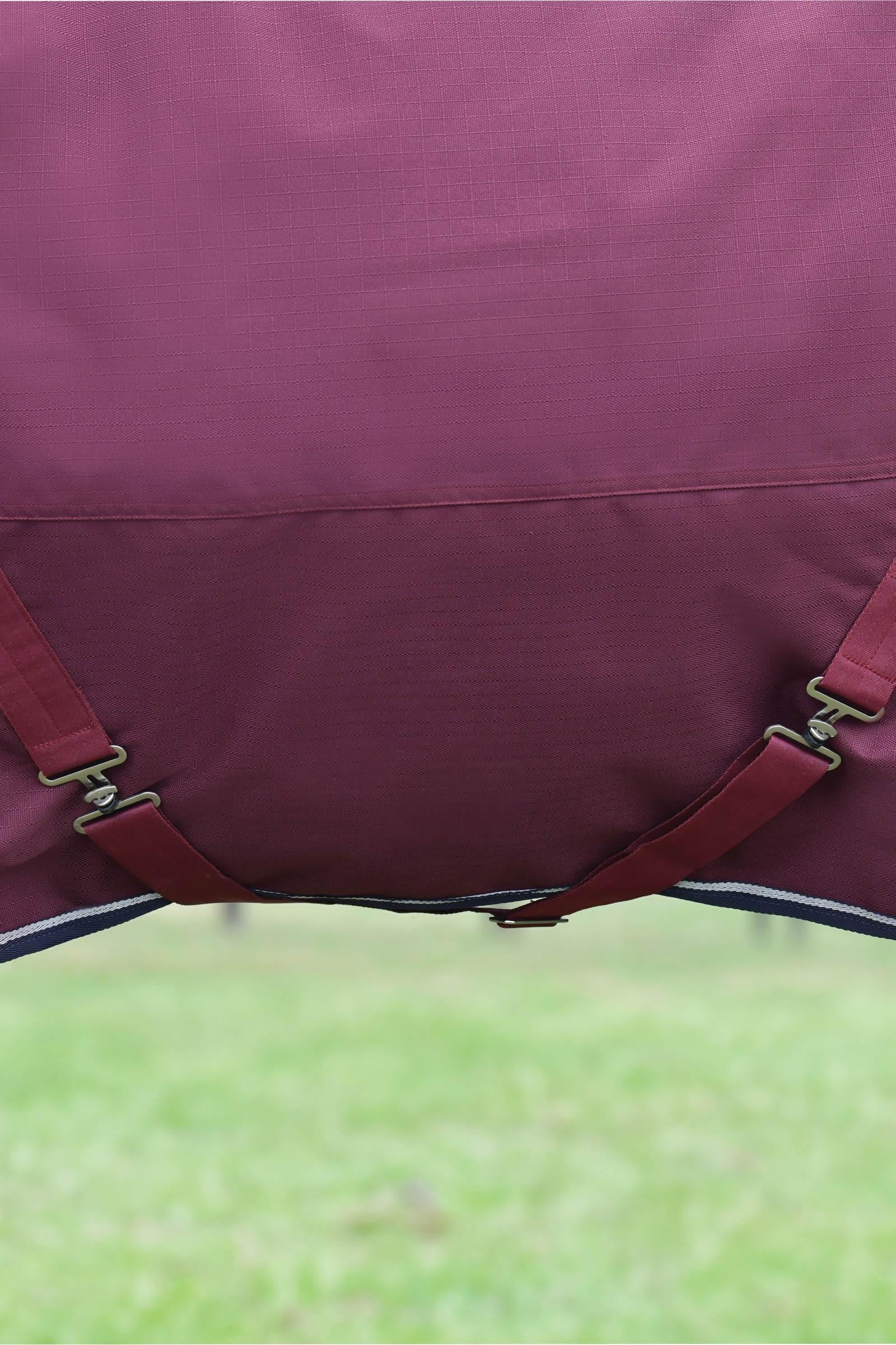 Weatherbeeta Comfitec Essential Turnout Rug Detach-A-Neck 220g Horse Rugs