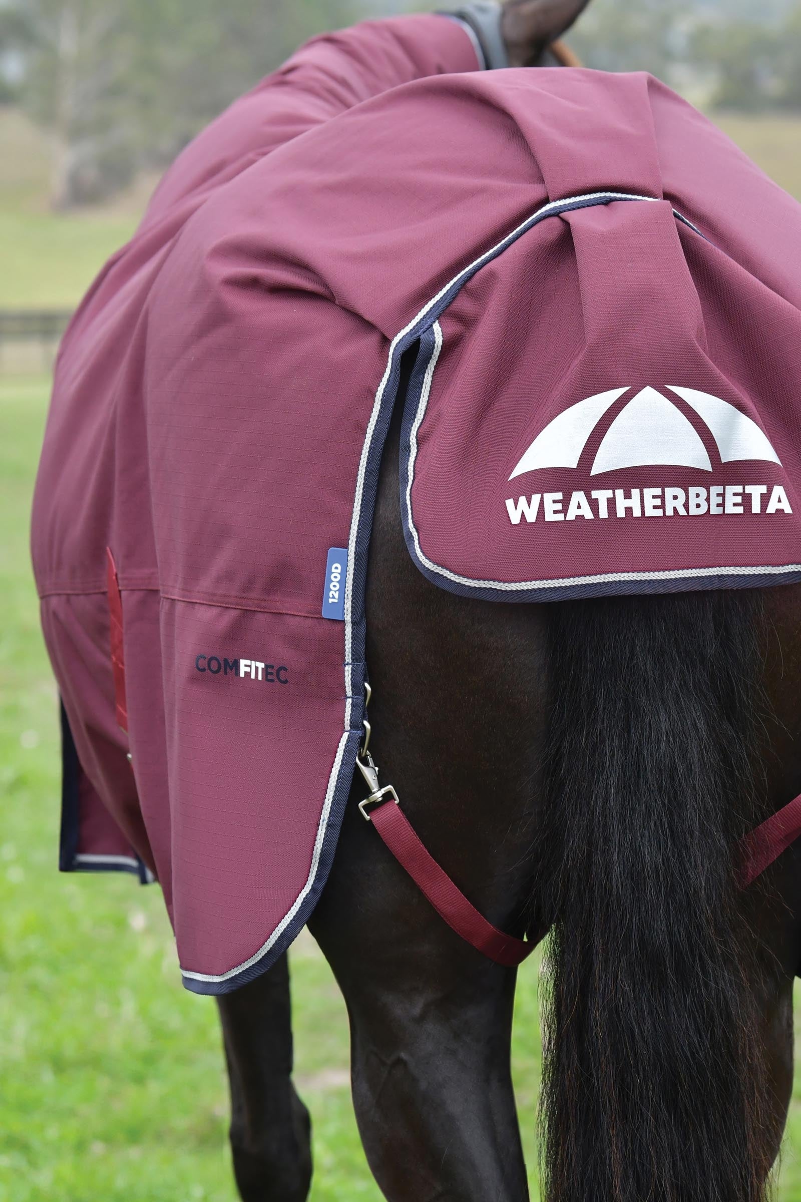 Weatherbeeta Comfitec Essential Turnout Rug Detach-A-Neck 220g Horse Rugs