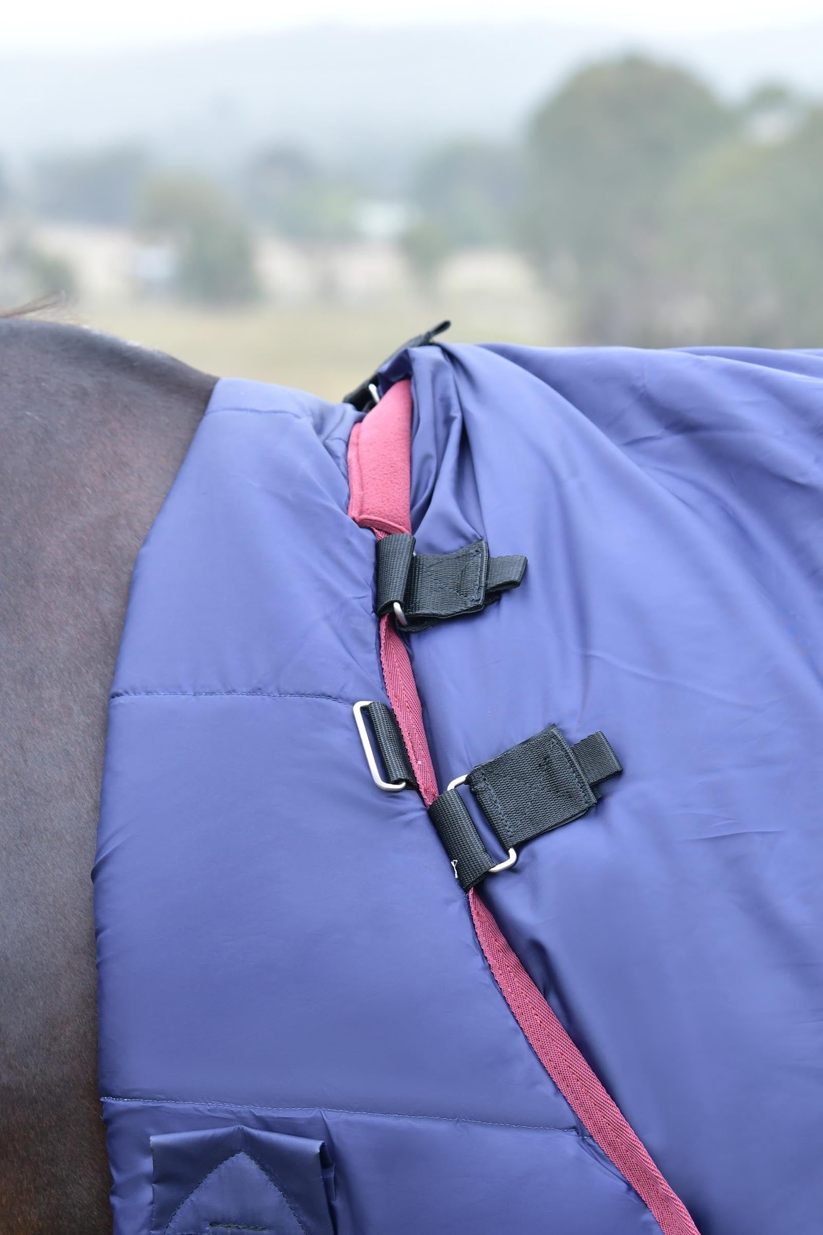 Weatherbeeta Comfitec Essential Turnout Rug Detach-A-Neck 220g Horse Rugs