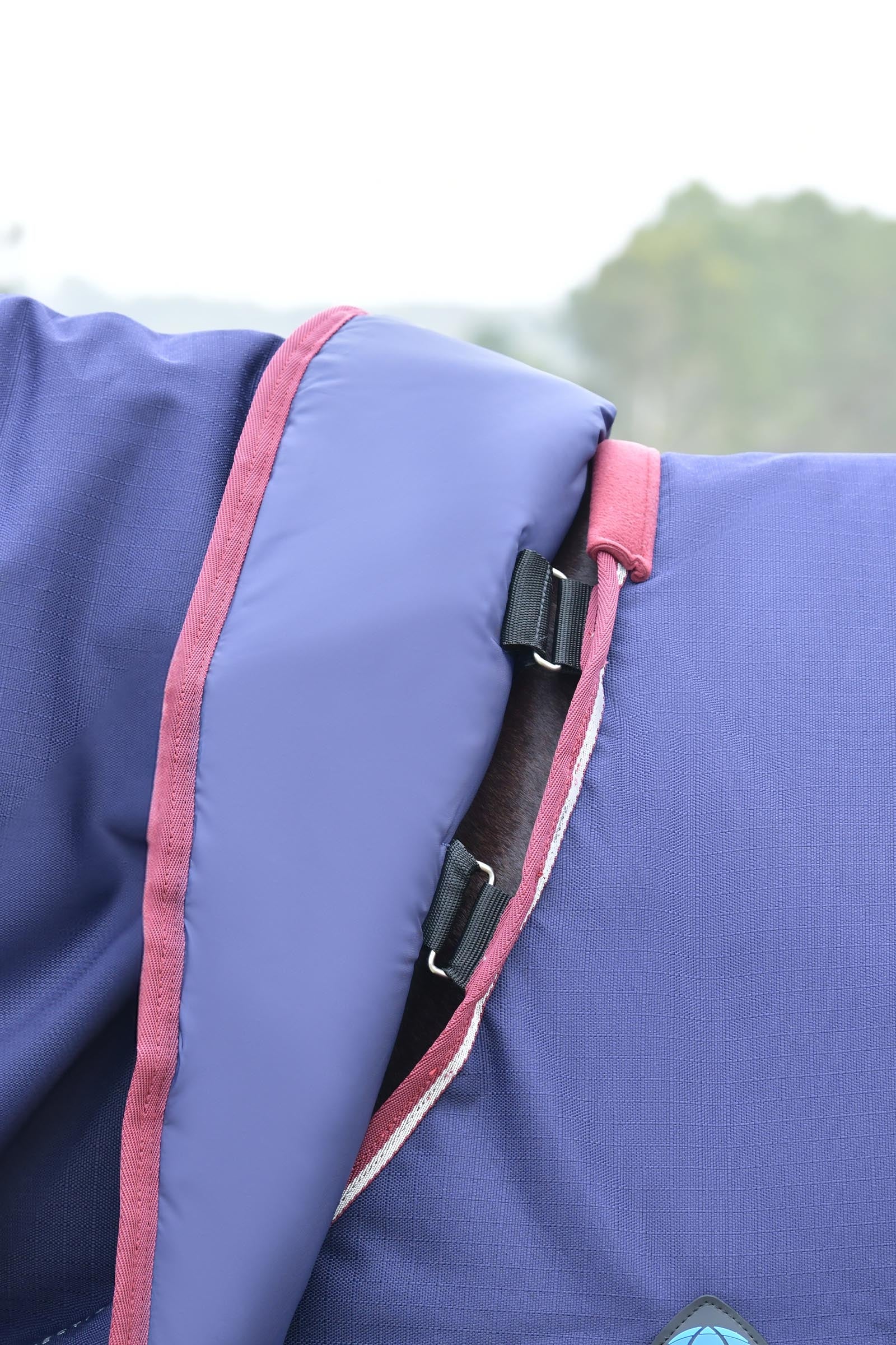 Weatherbeeta Comfitec Essential Turnout Rug Detach-A-Neck 220g Horse Rugs