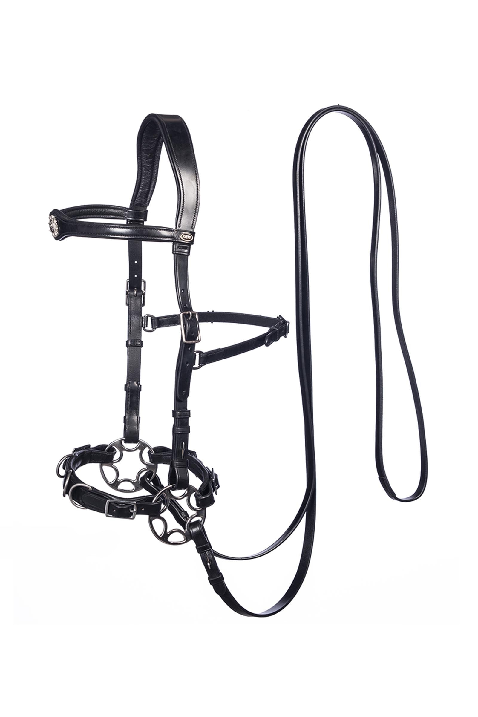 F.R.A. Freedom Riding Articles Caval Compl. Cavemore Bridle English Leather (Syst.2) Shire Bridles & Reins