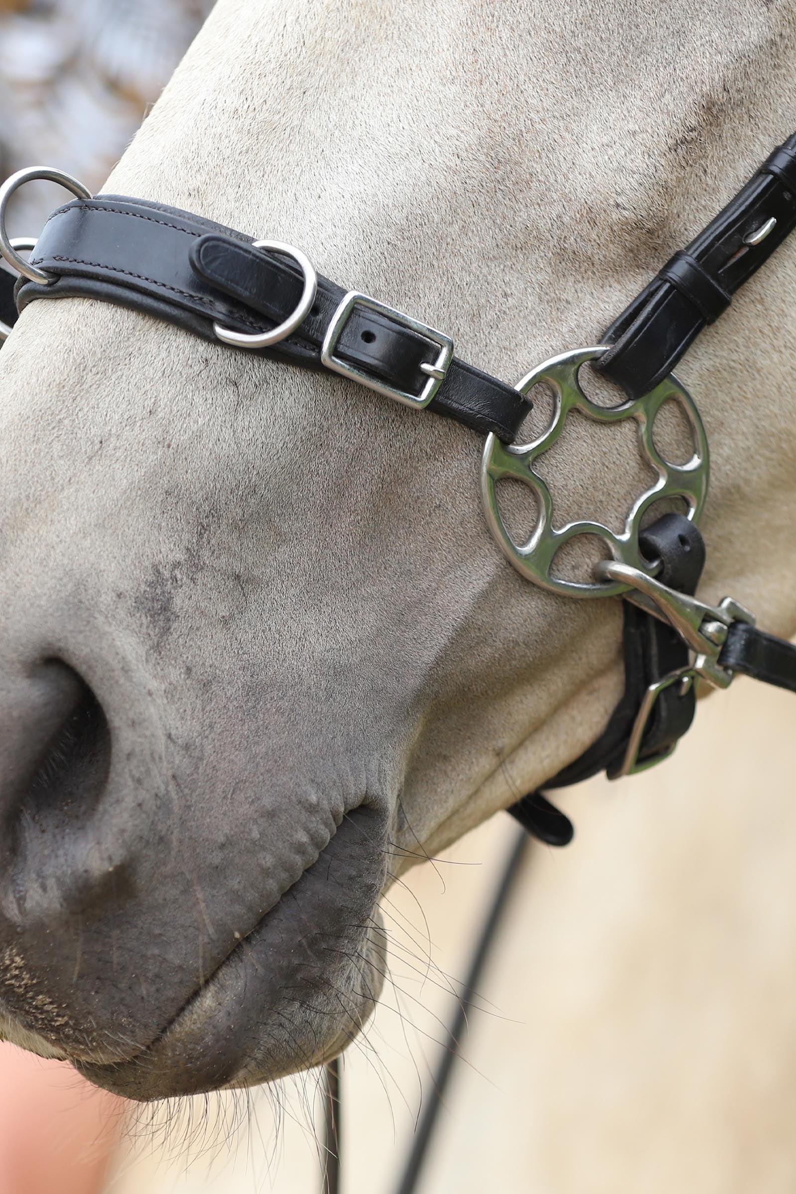 F.R.A. Freedom Riding Articles Caval Compl. Cavemore Bridle English Leather (Syst.2) Shire Bridles & Reins